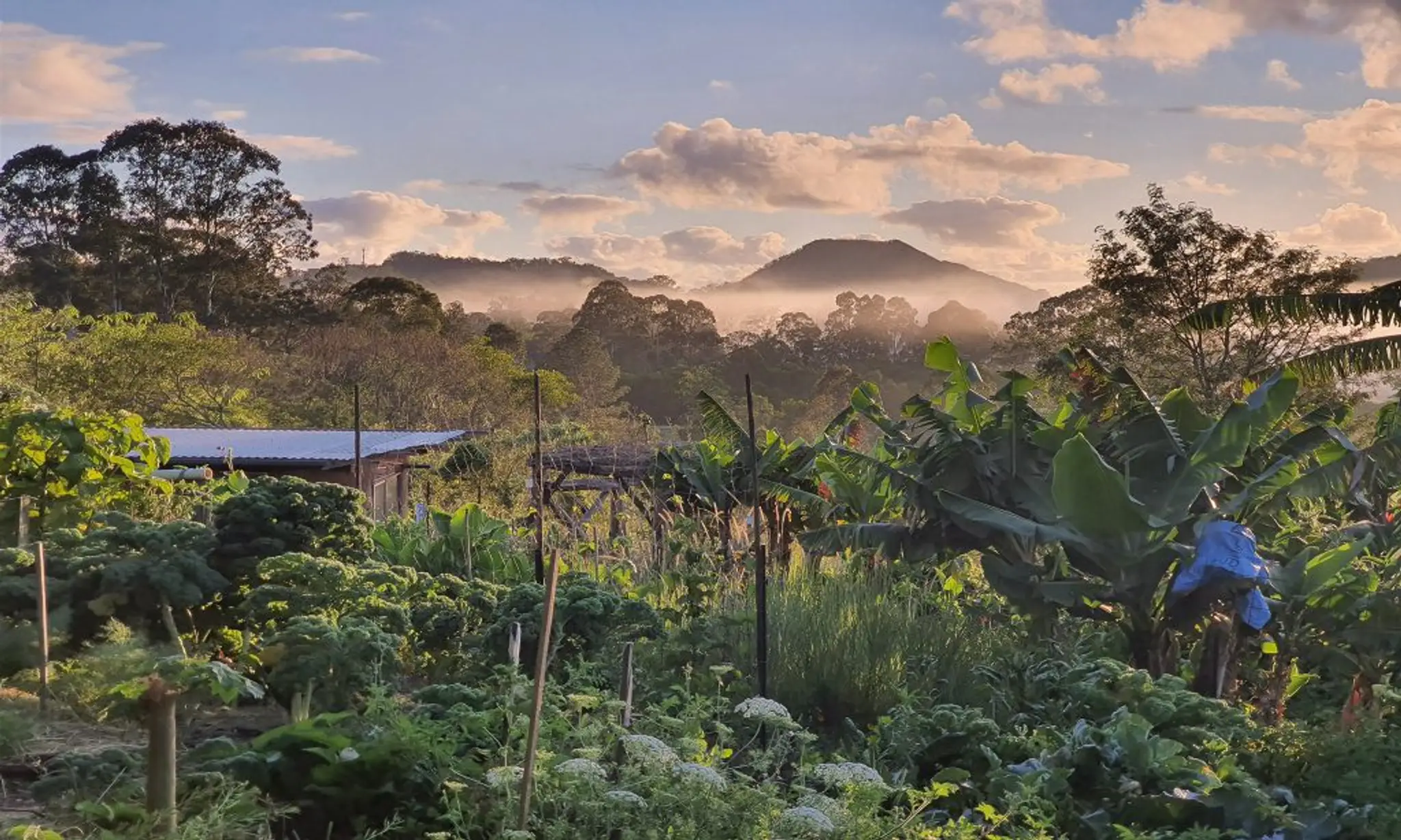 Bellbunya Eco Retreat, Sustainable Community & Education Center