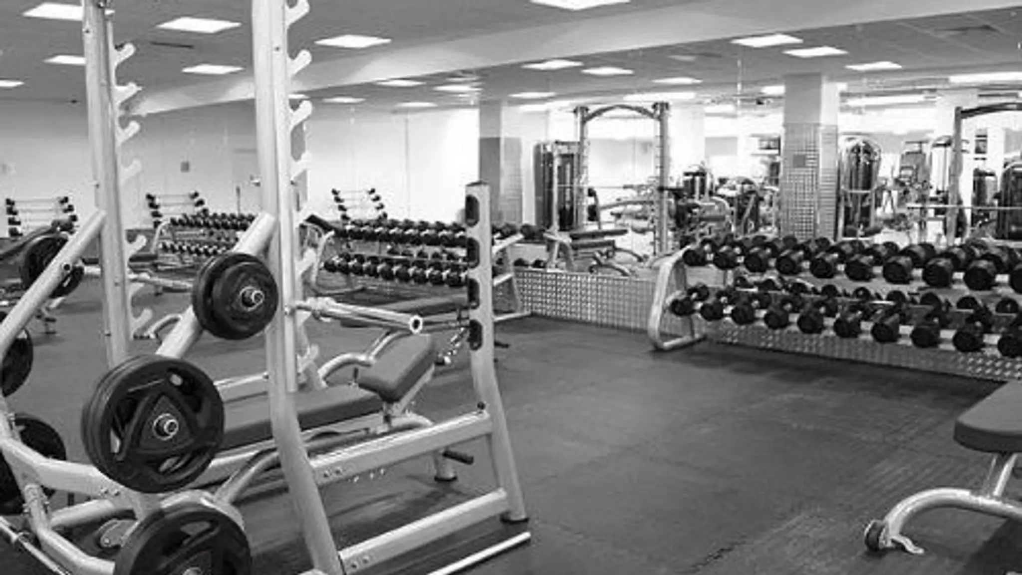 Dinush Fitness Trainer