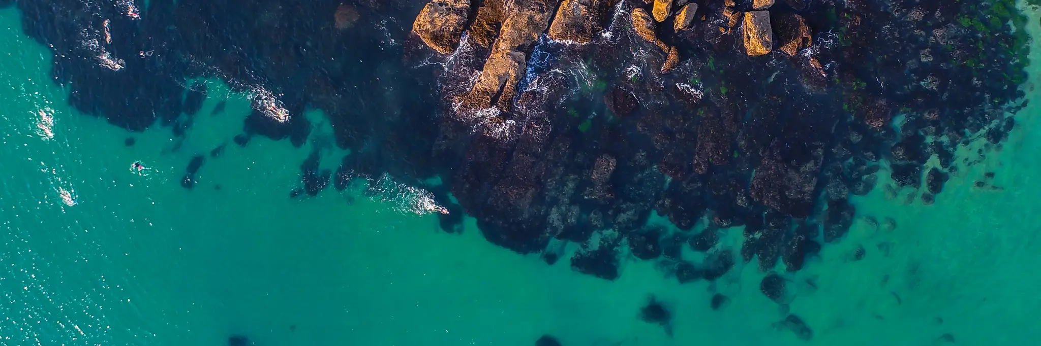 Bold & Beautiful Swim Squad Manly