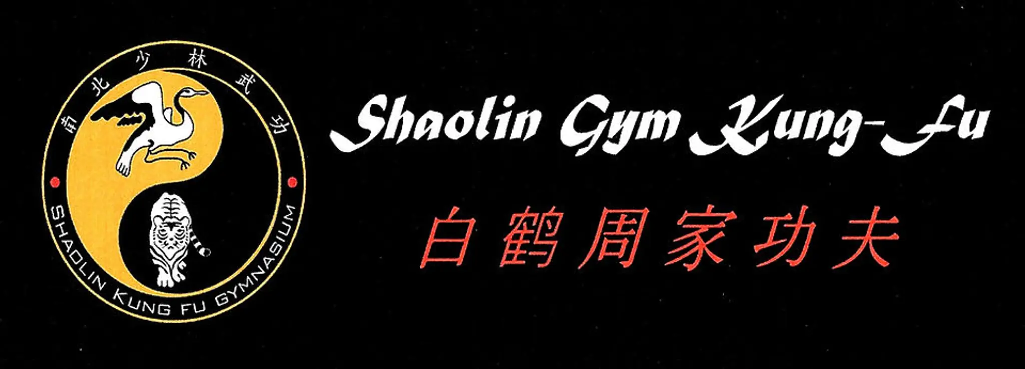 Shaolin Gym Kung Fu.