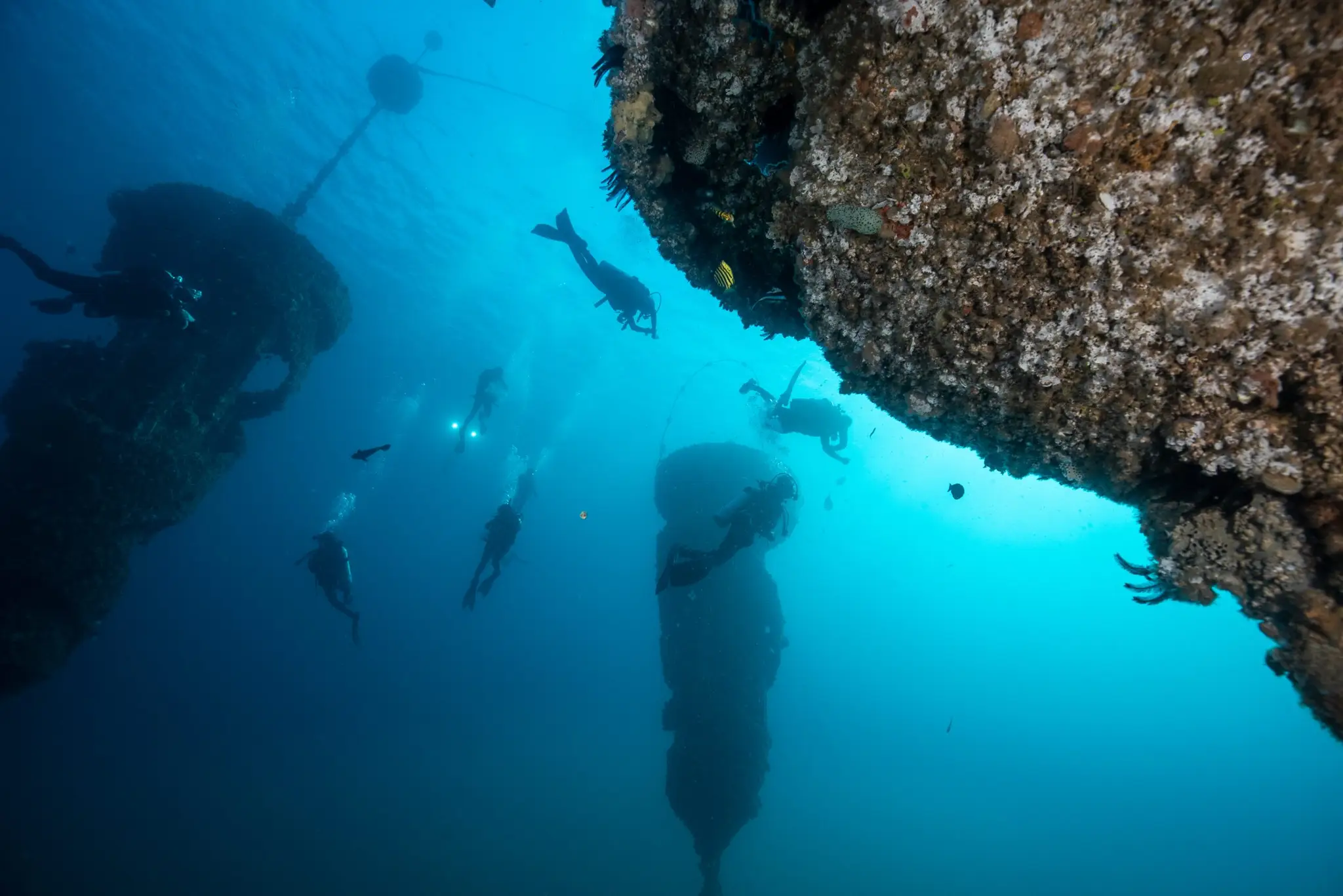 Gold Coast Dive Adventures