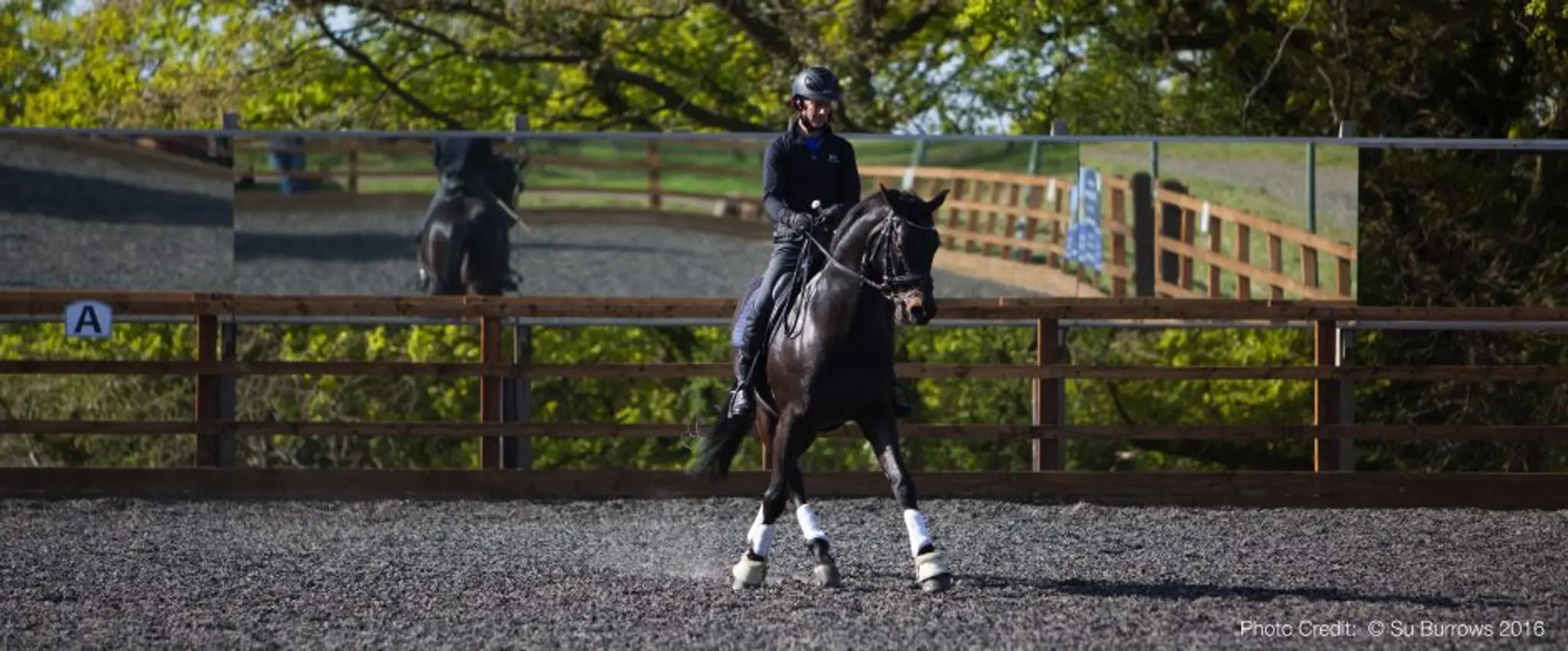 Lakeside Equestrian Centre