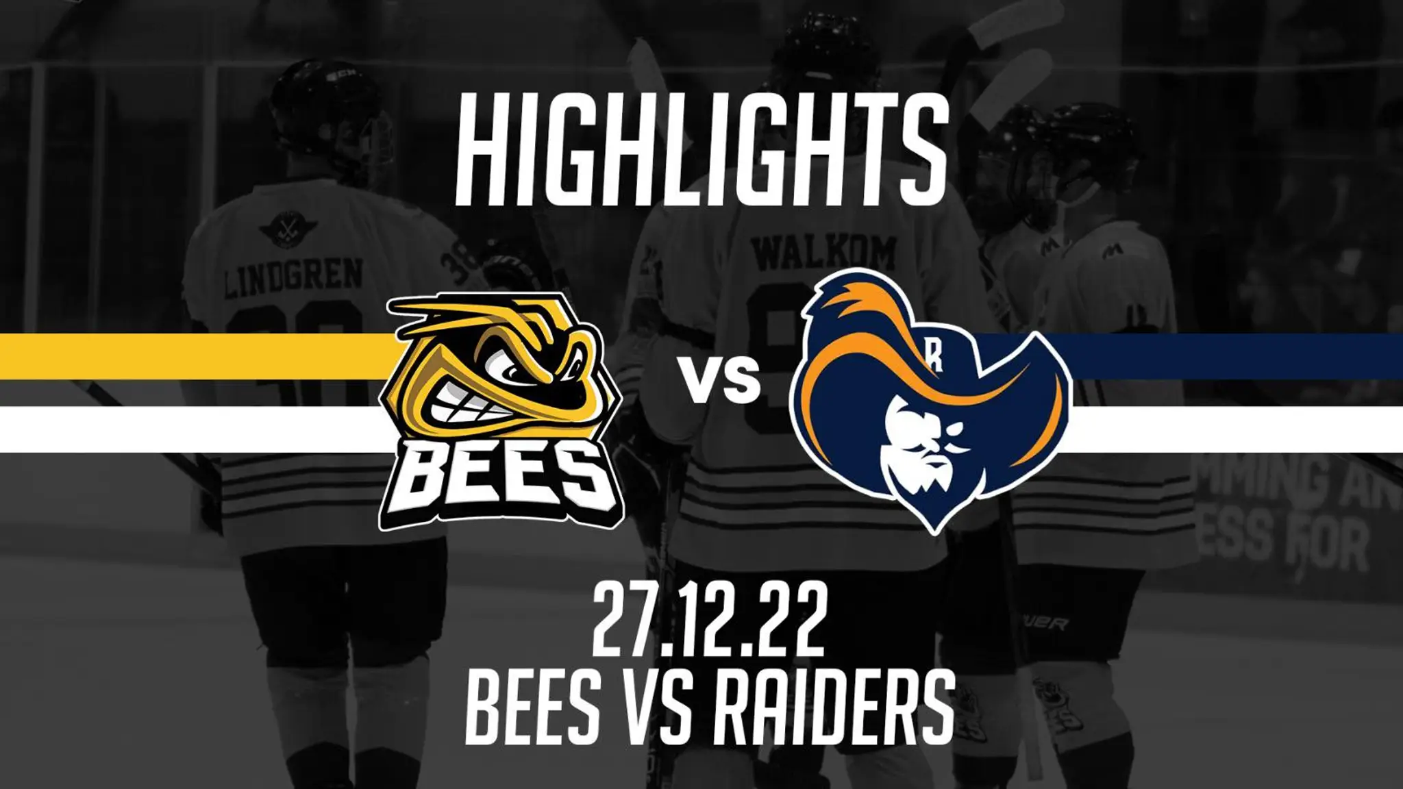 Bees Ice Hockey Club