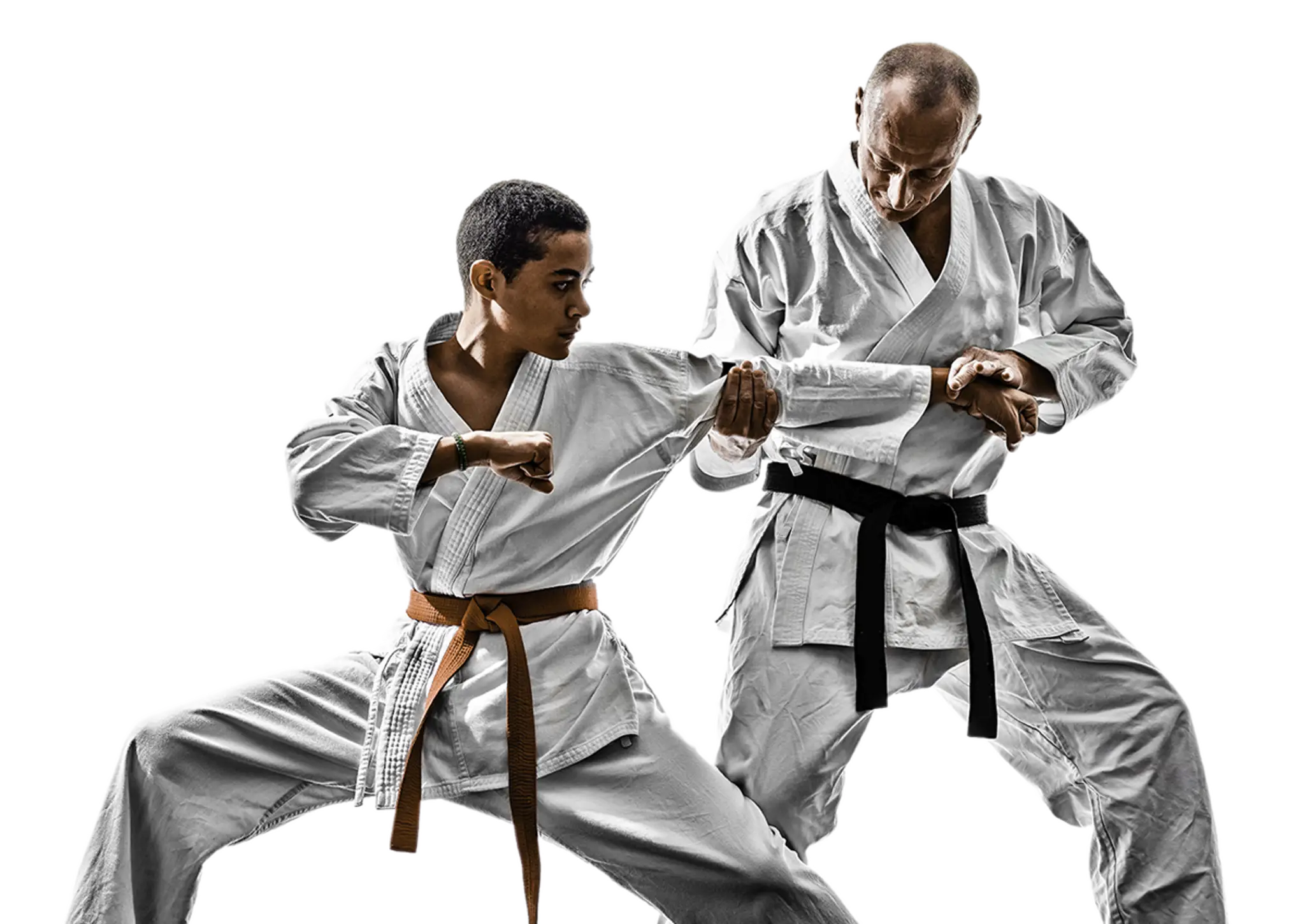 Sault Ste. Marie Karate