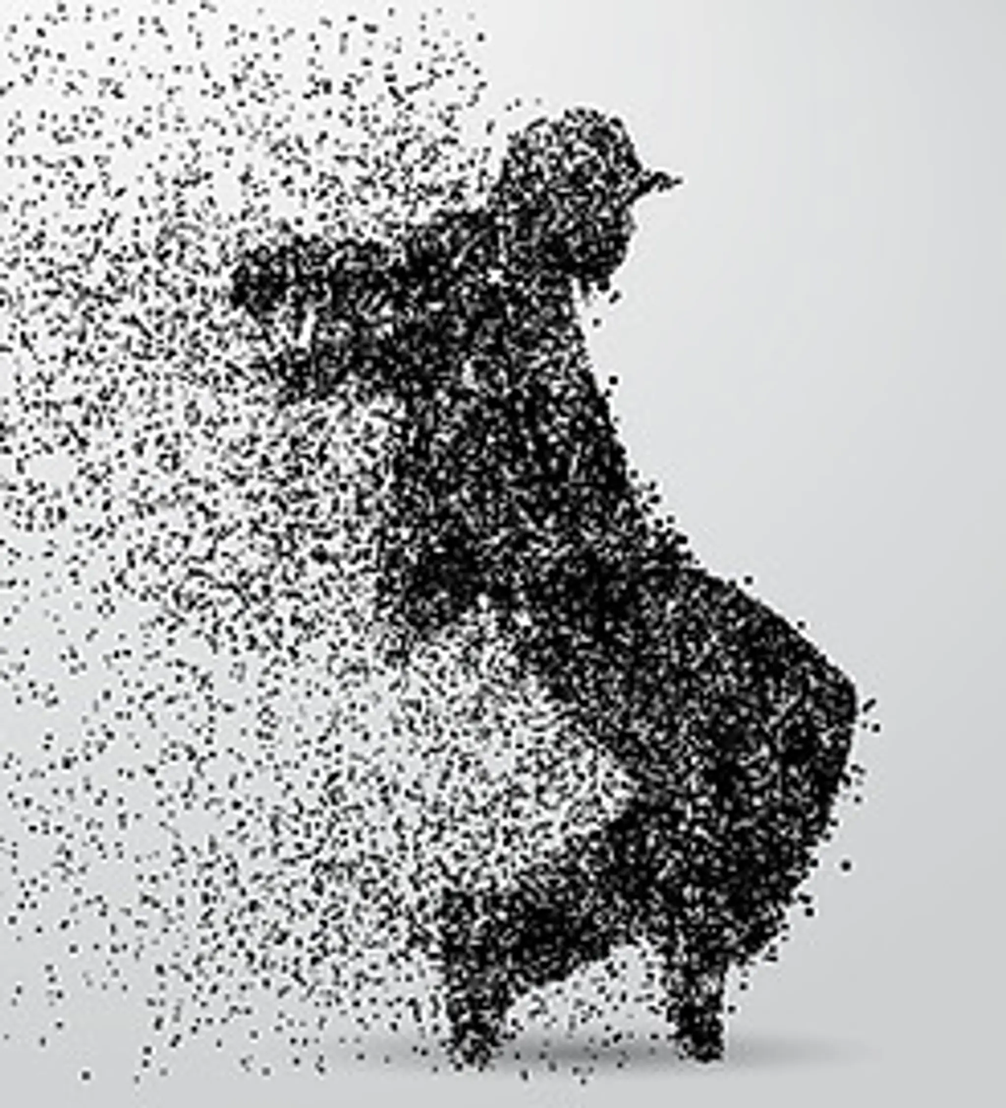 Ecole Formation Danse