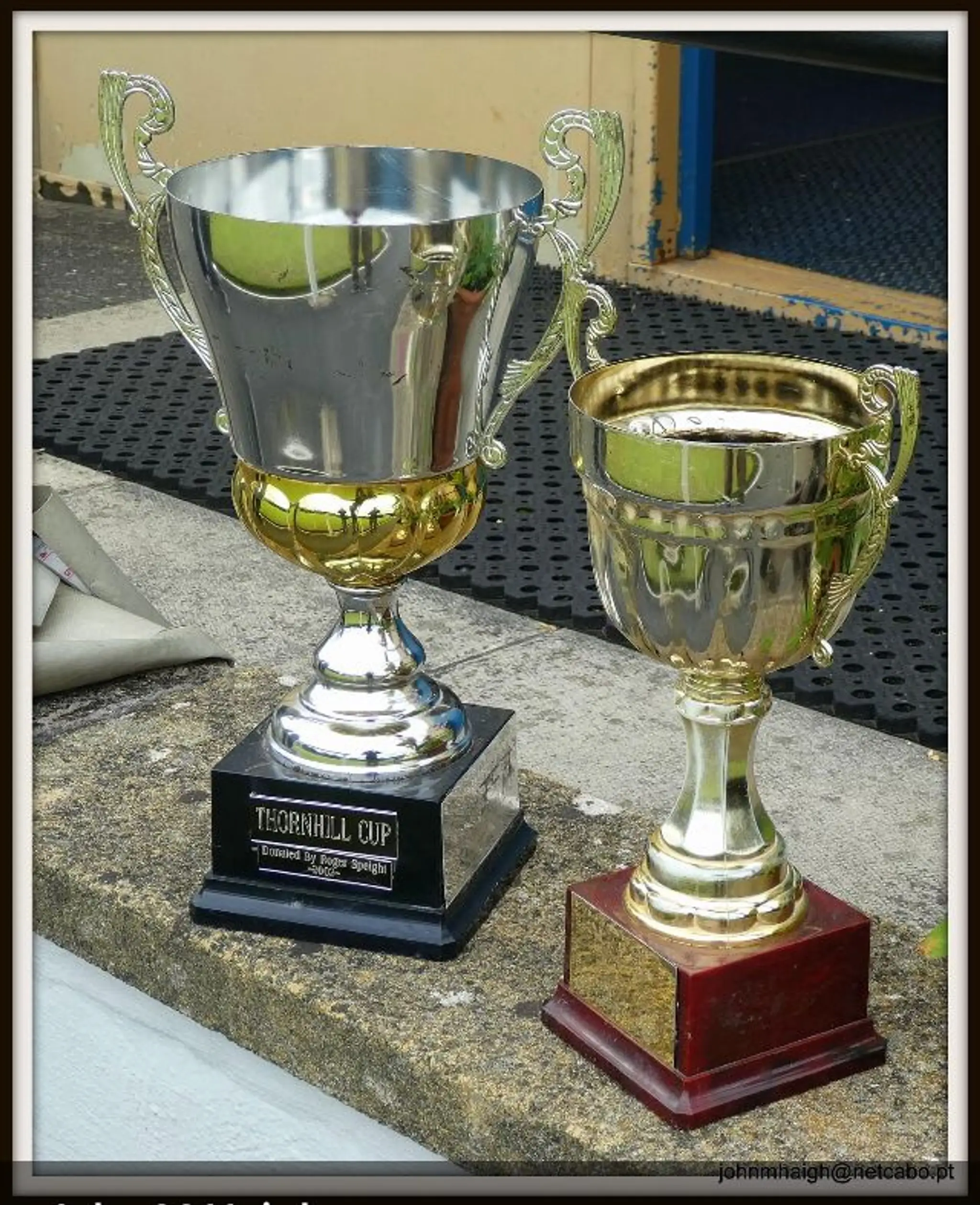 Thornhill Cricket & Bowling Club