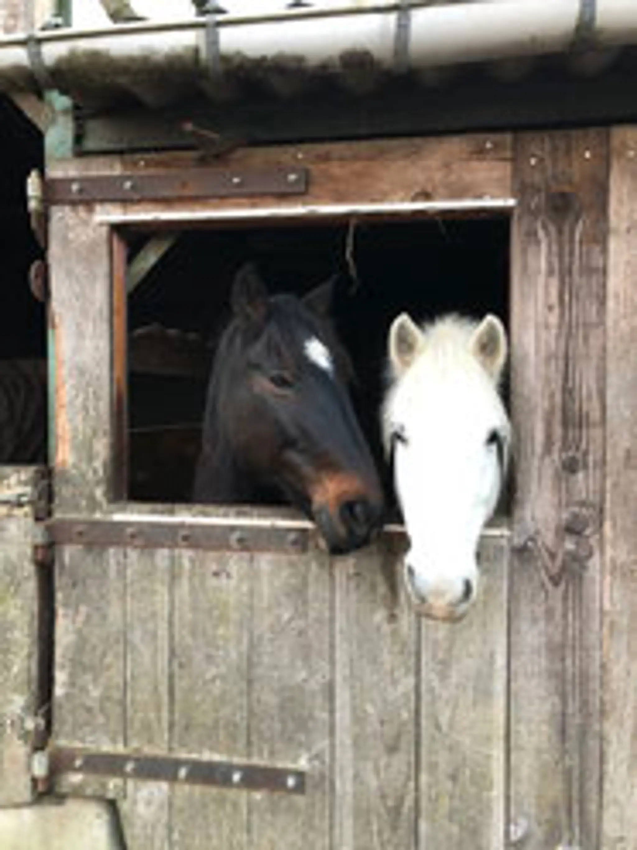 Equestrian Center Les Sablons