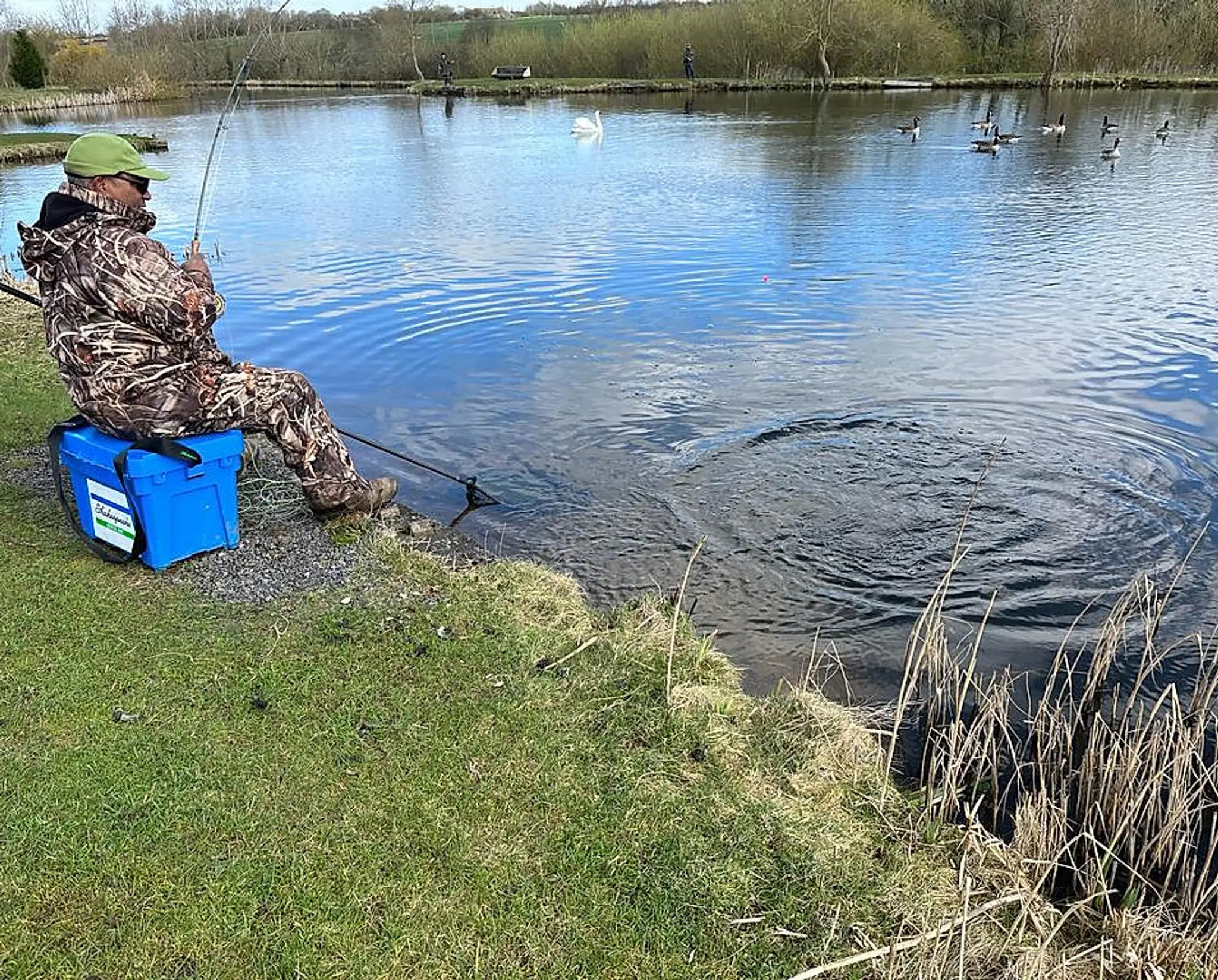 West House Trout Lakes