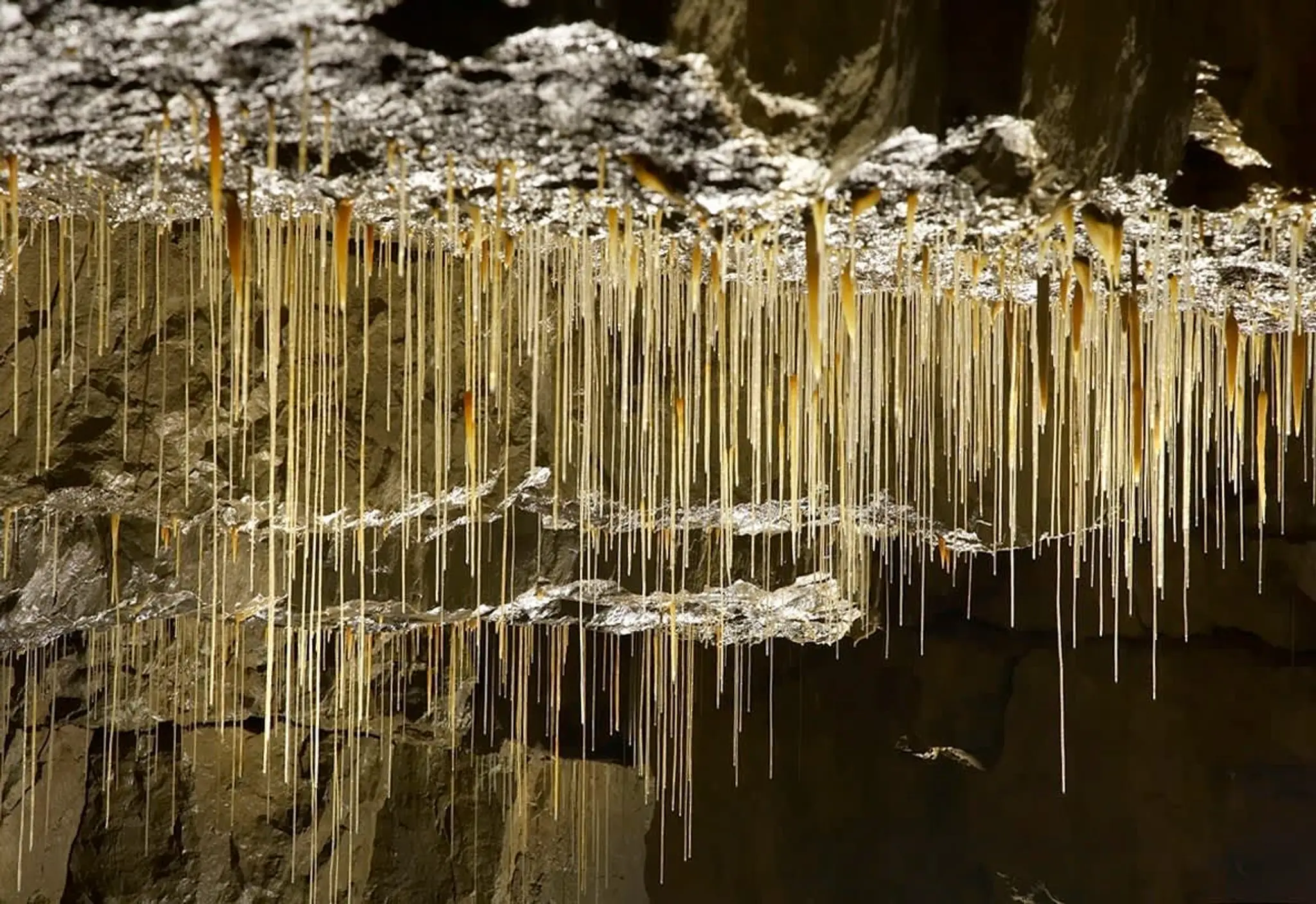 Punch bowl Campsite & Eatery