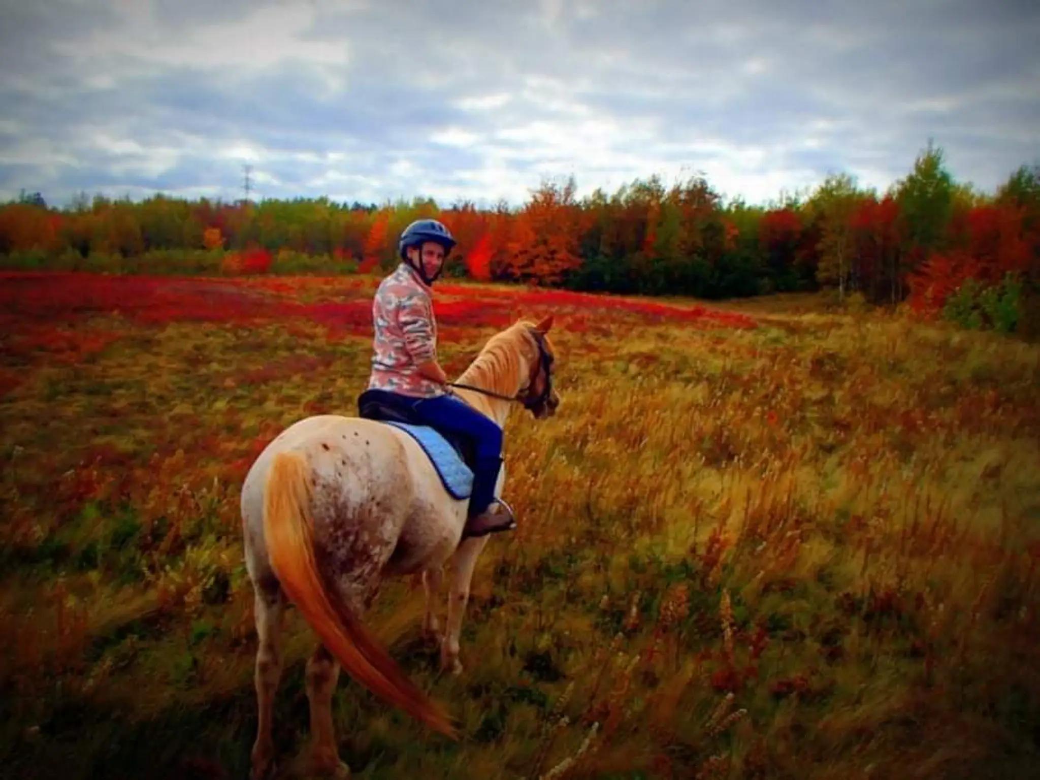 Rise and Shine Equine Adventures