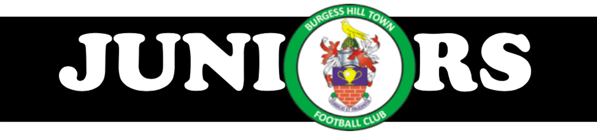 Burgess Hill Town FC Juniors