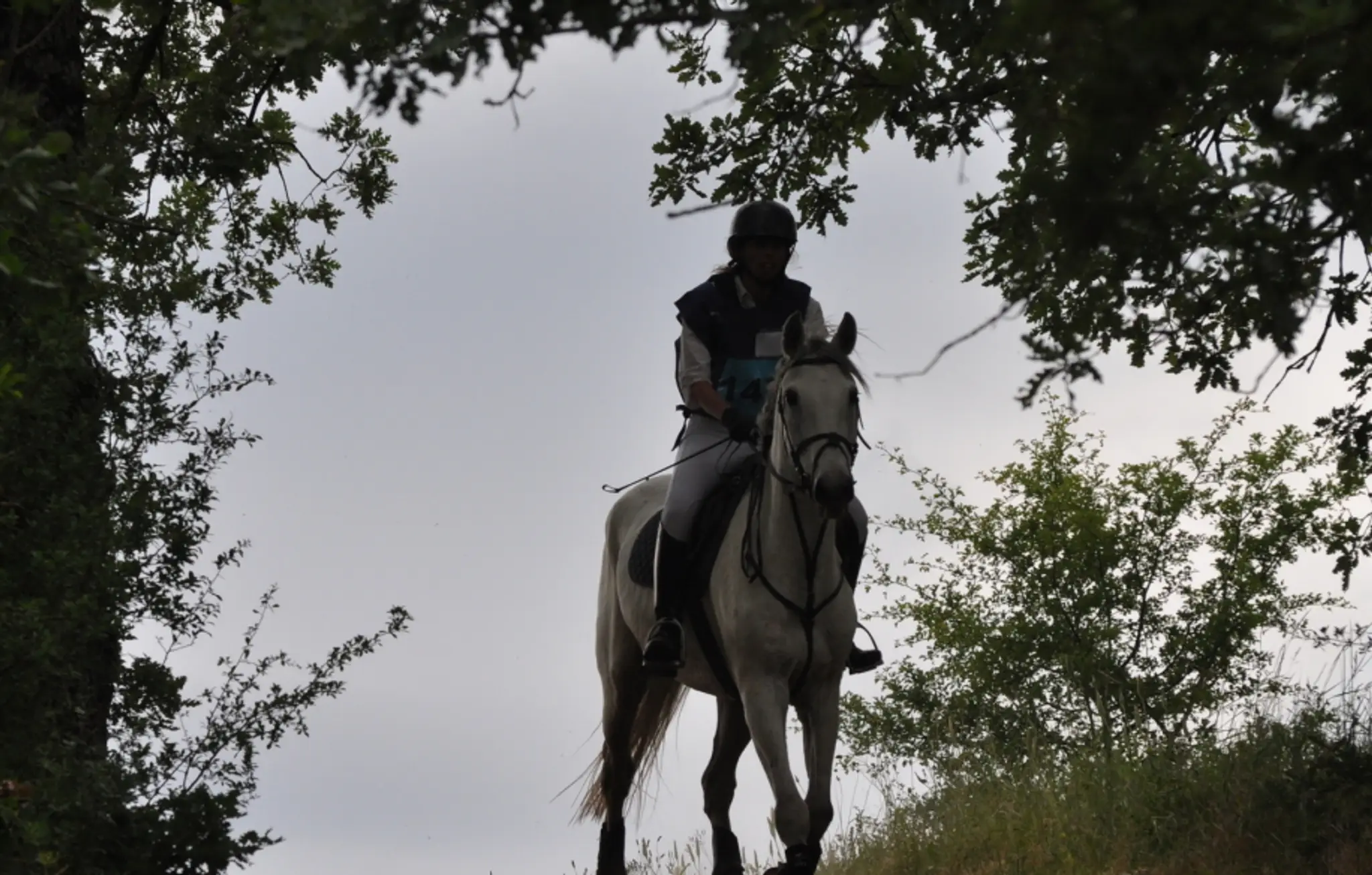 Centre Equestre