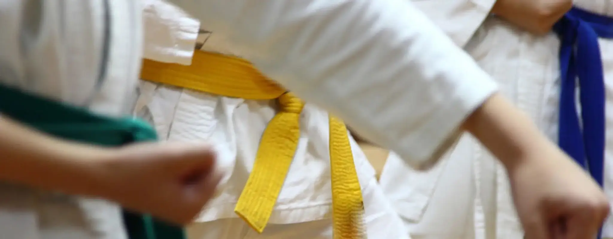 Seishin Karate Club Corby