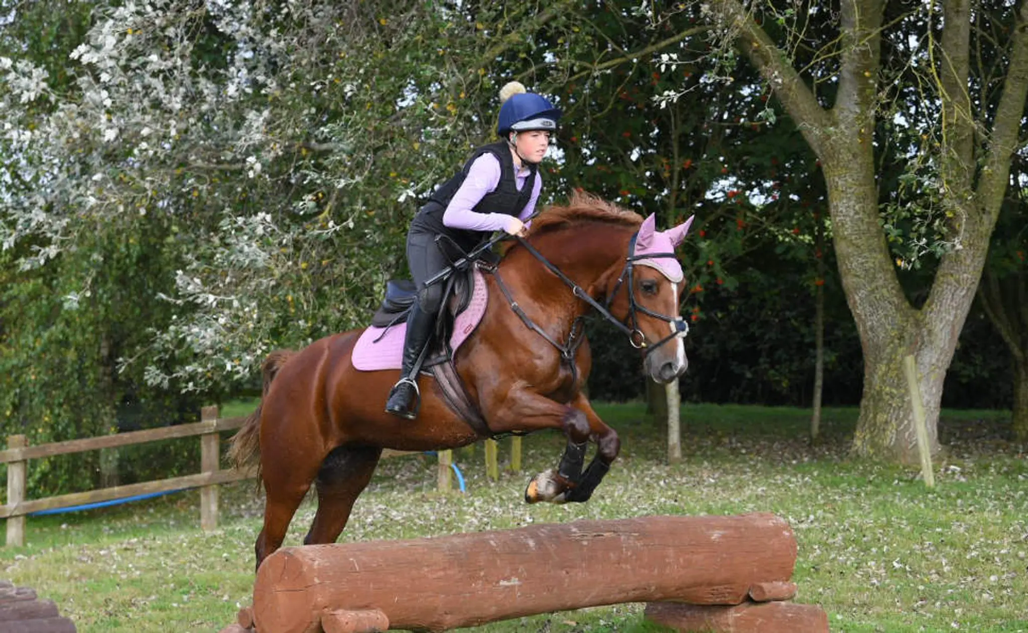 Stockland Lovell Equestrian Centre