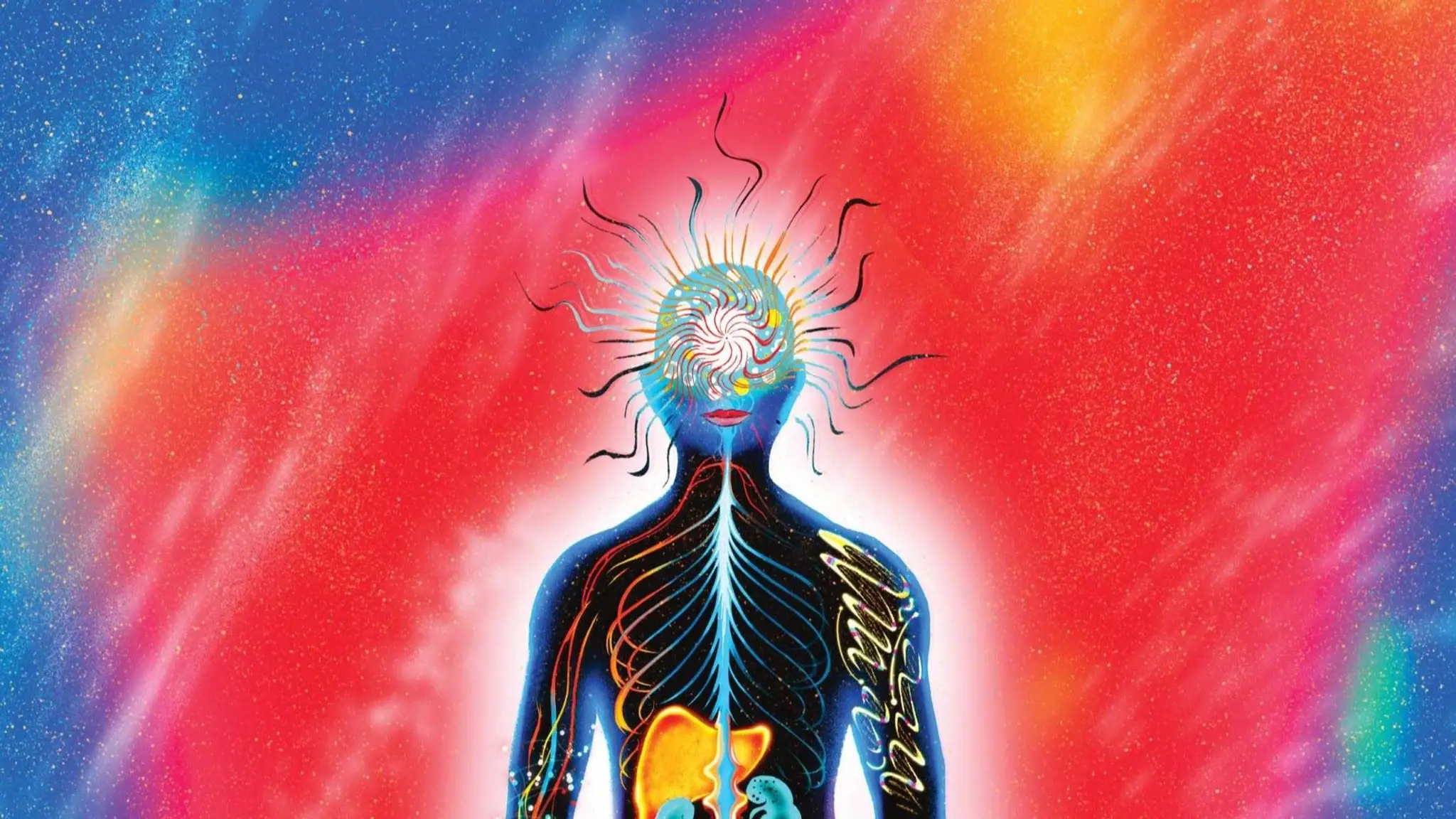 Wilson Climbing Centre