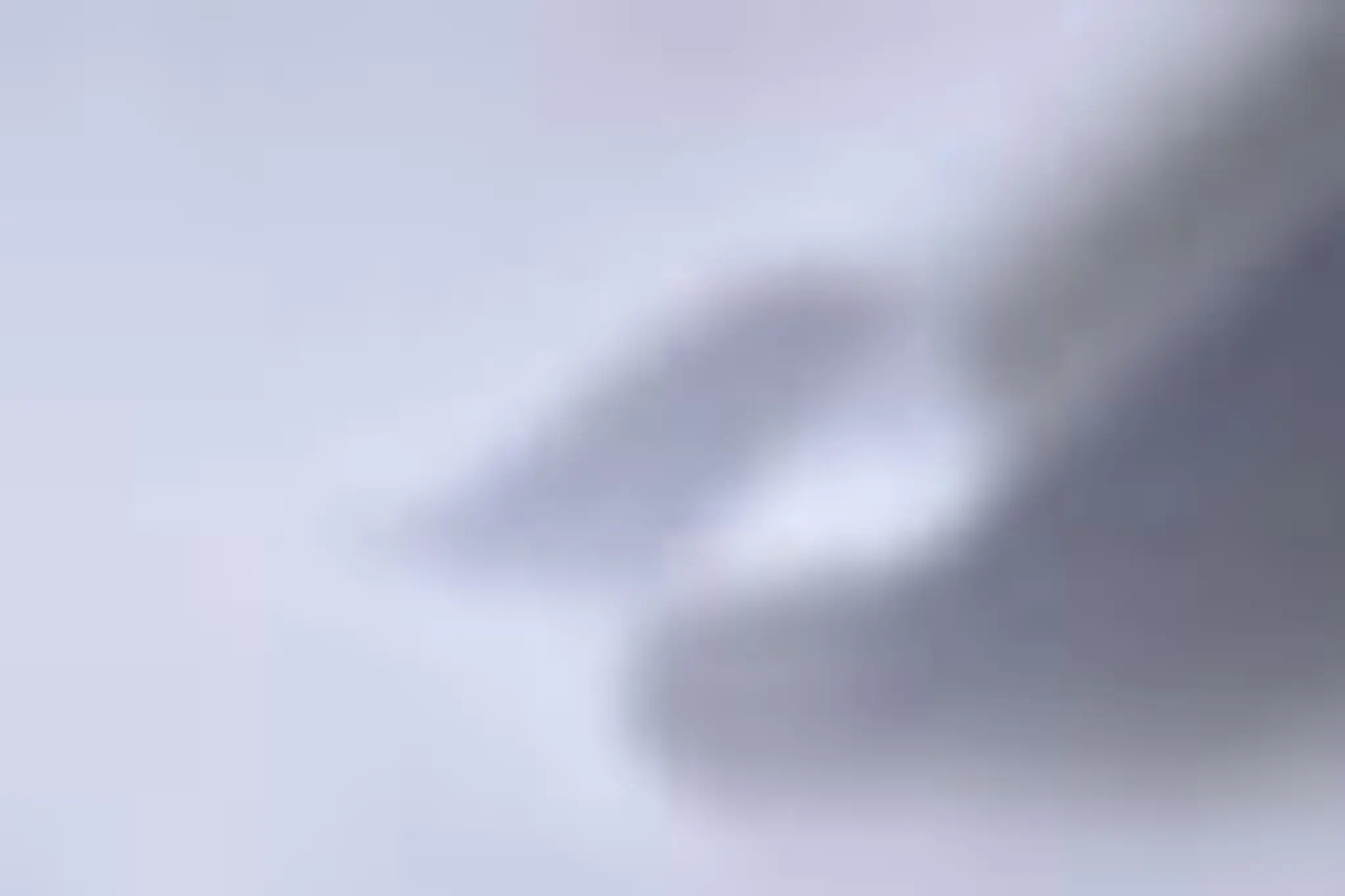 Martial Sports - Judo, Mma, Jjb Grenoble