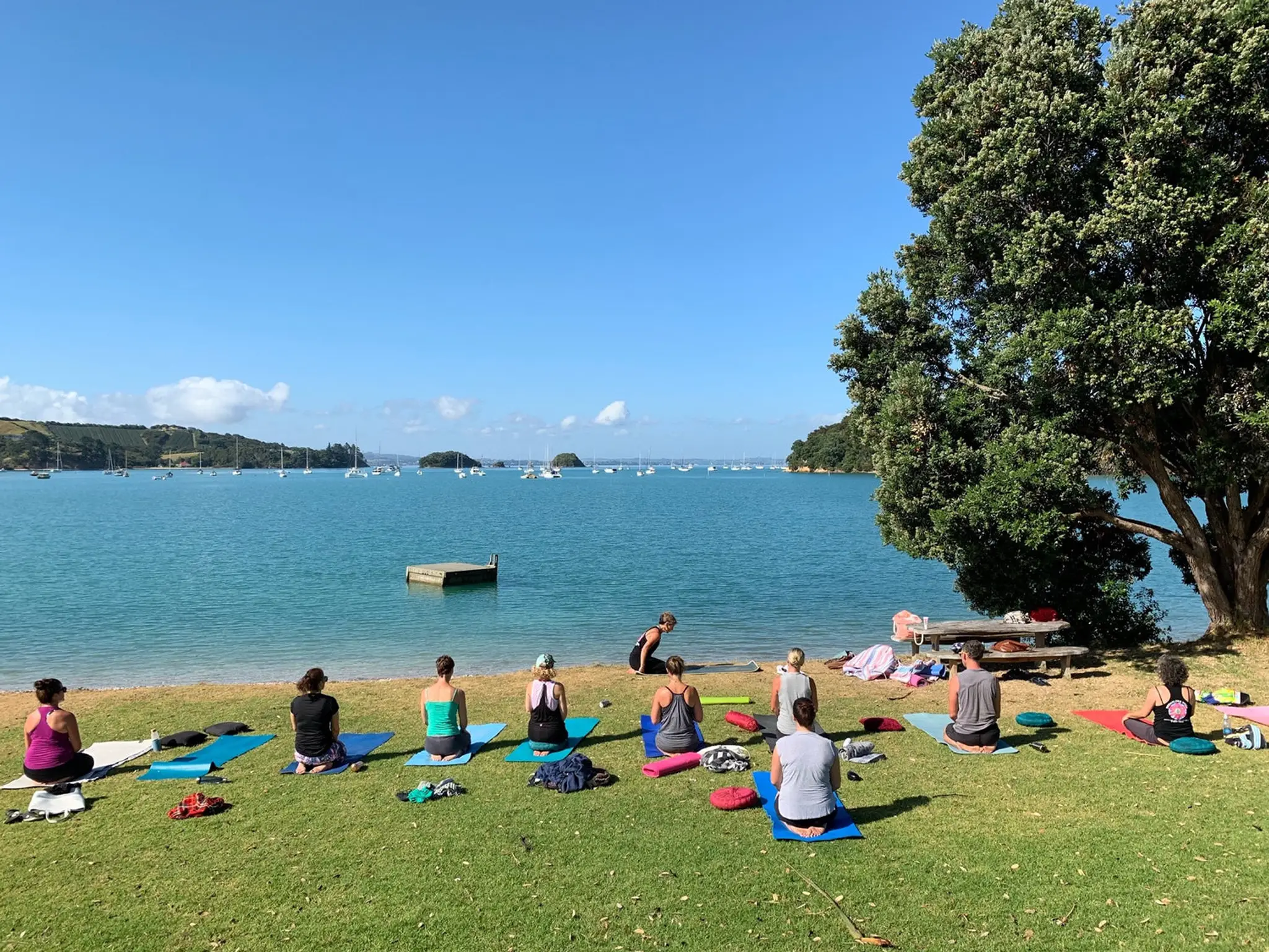 Yoga on Waiheke