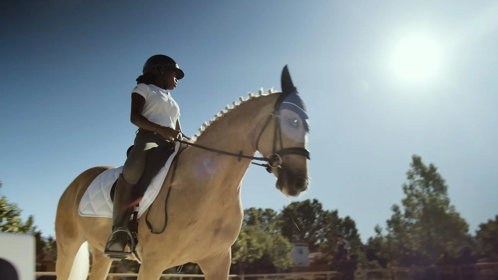 Les Écuries De Notre Dame