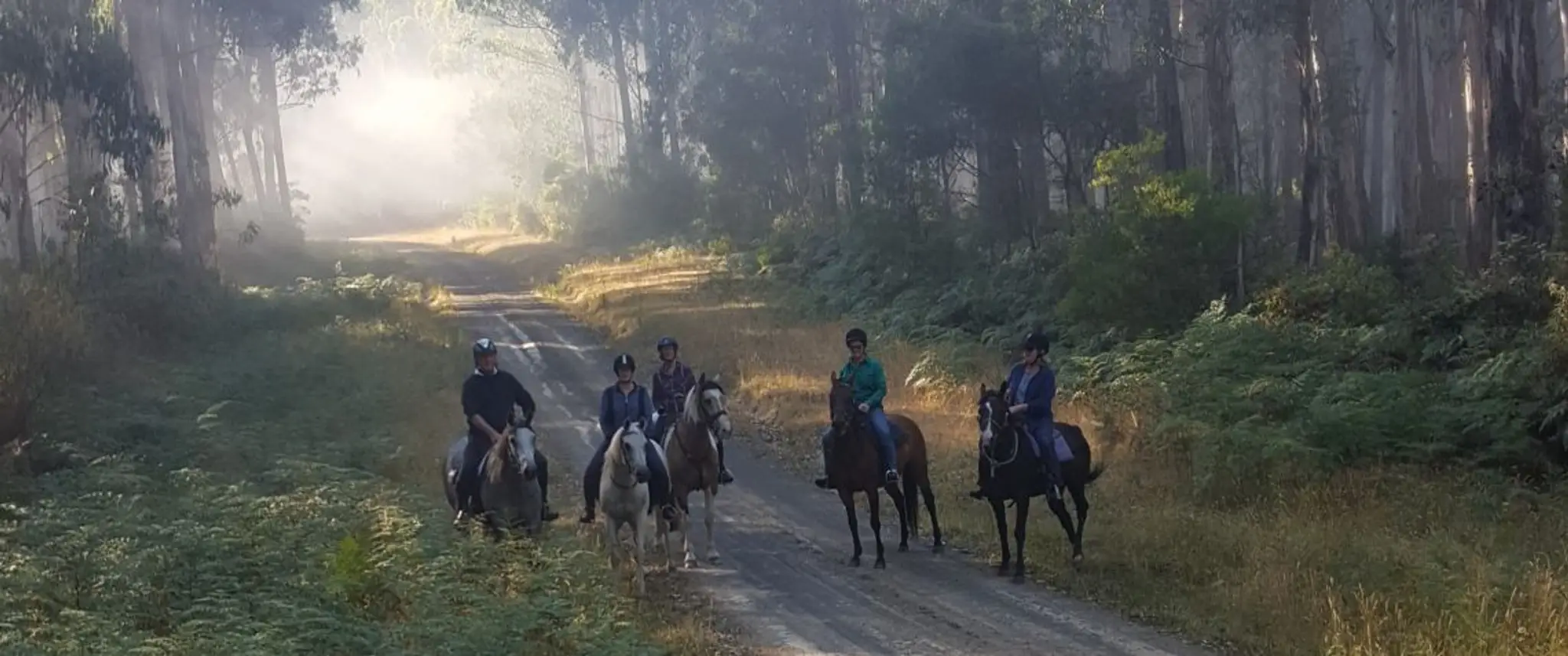 Forrest Horse Riding Club