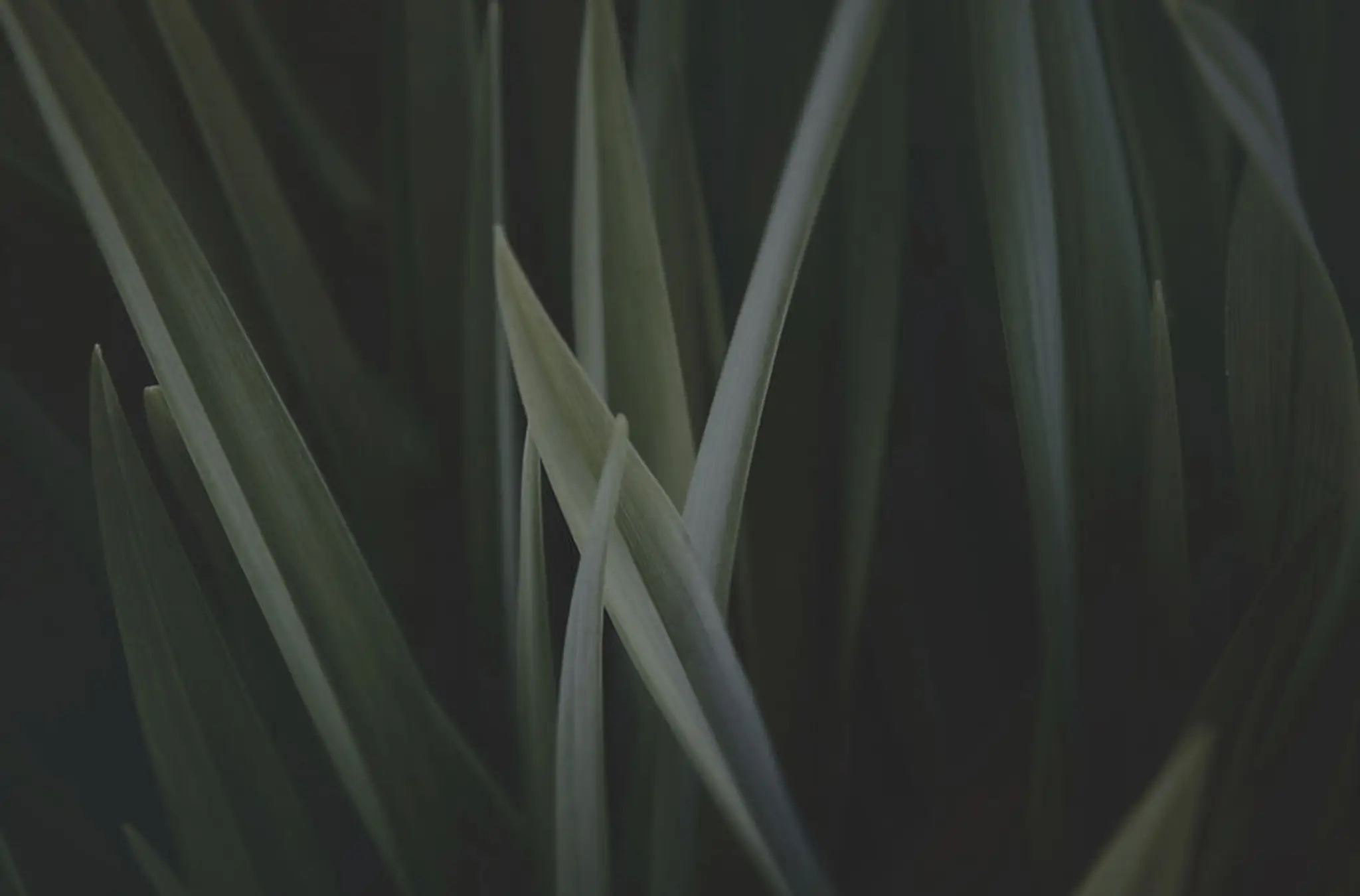 Sadhana - Massages, Yoga, Développement Personnel