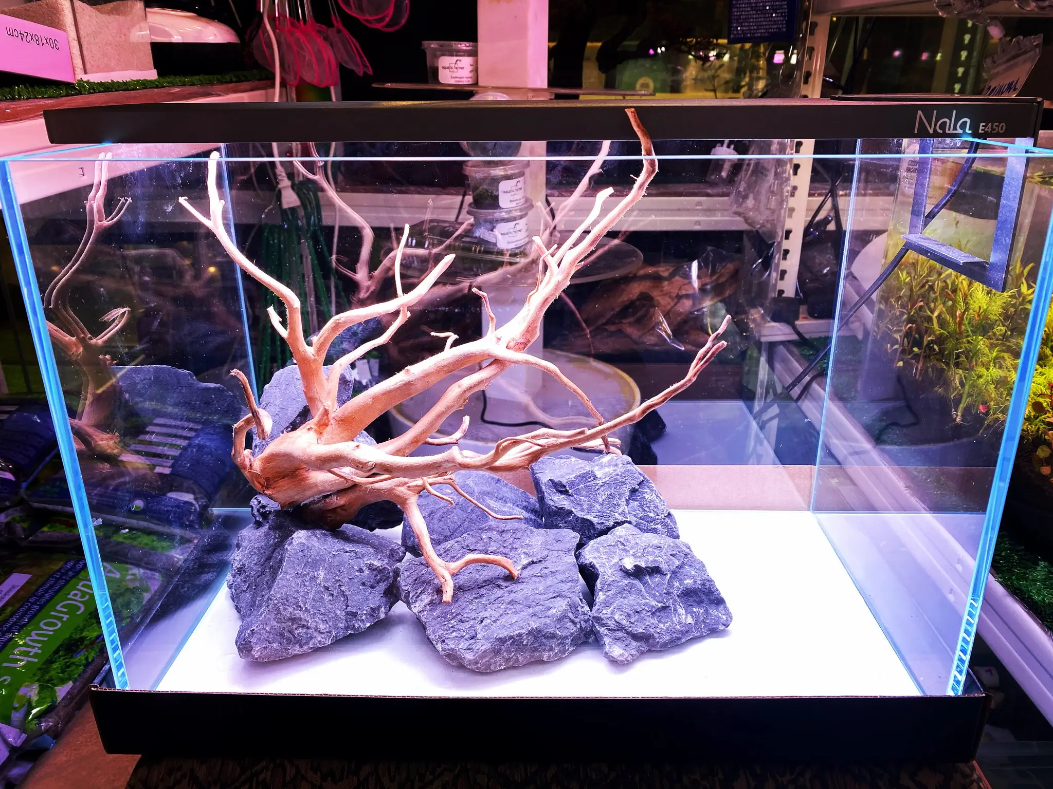 Green Fingers Aquarist