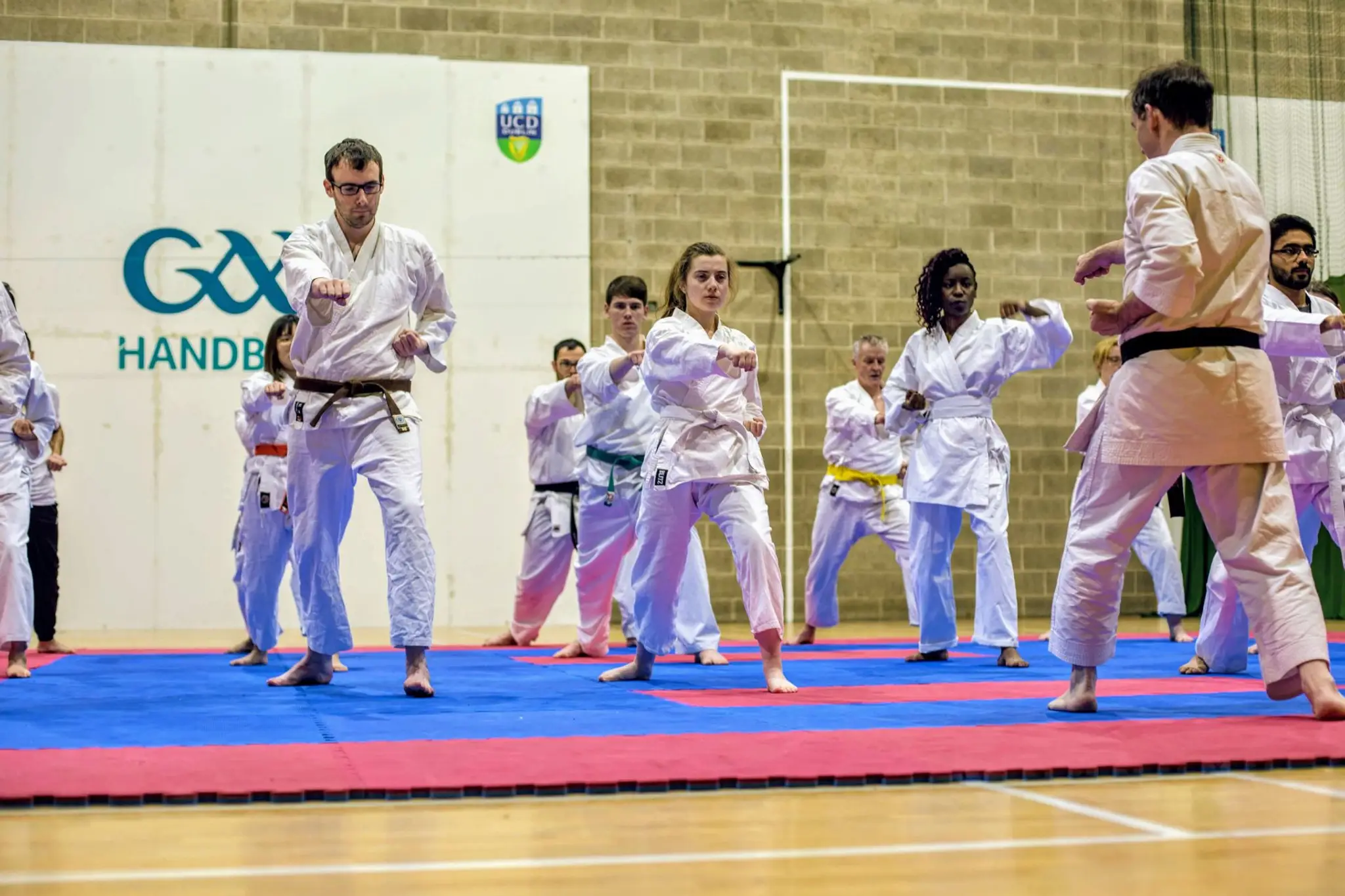 UCD Karate