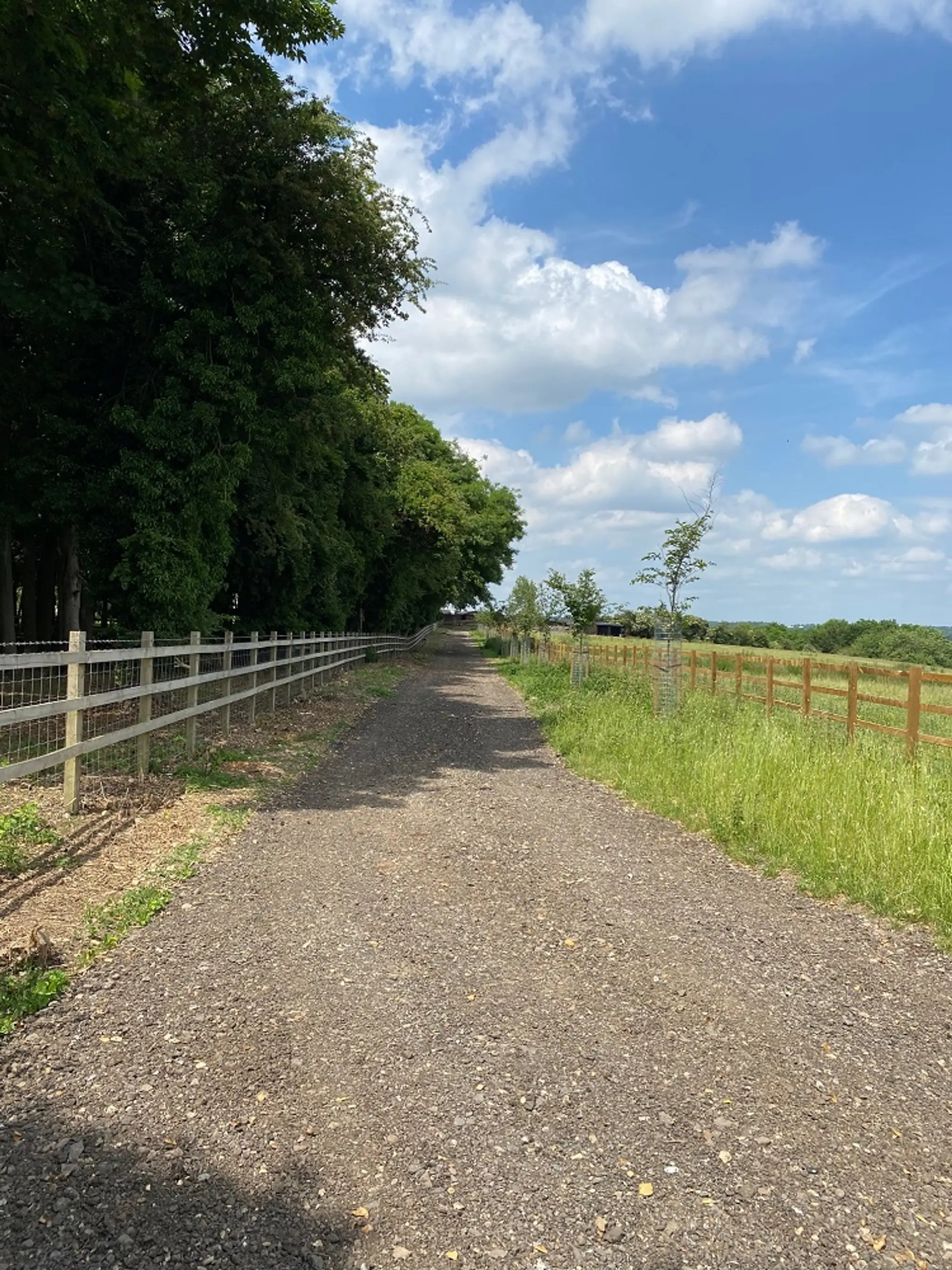 Walx - Thames Valley