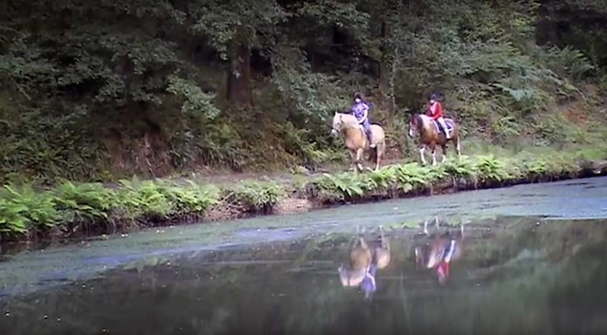 Great Trethew Manor Country Hotel & Restaurant