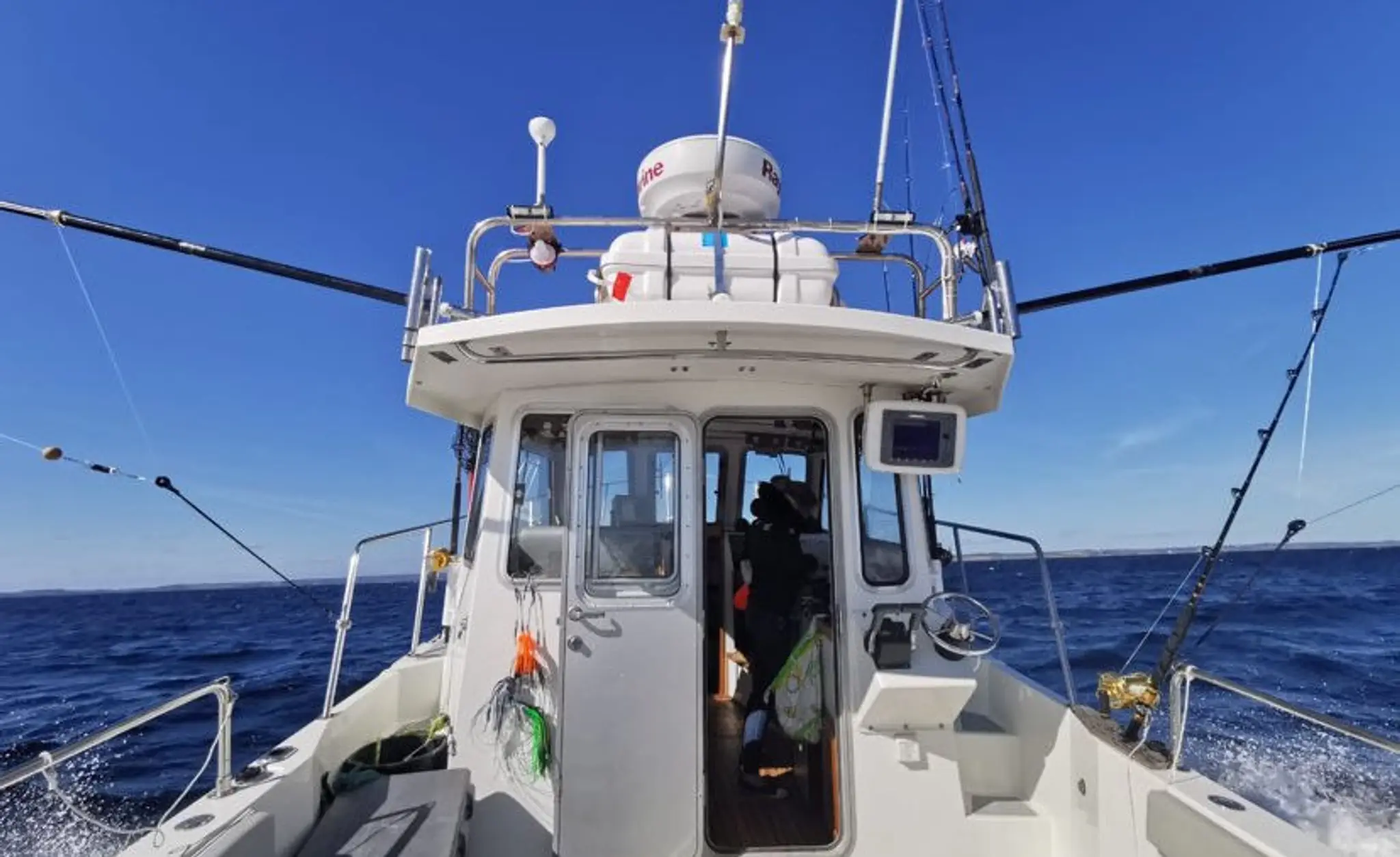 osprey sport fishing