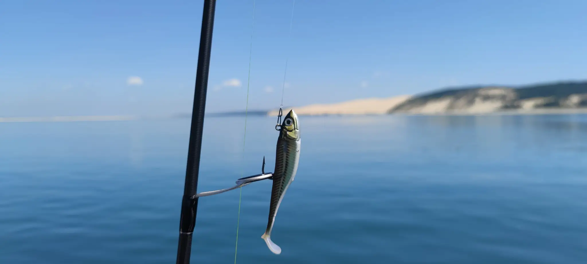 Aquitaine Peches sportives - Guide peche arcachon-