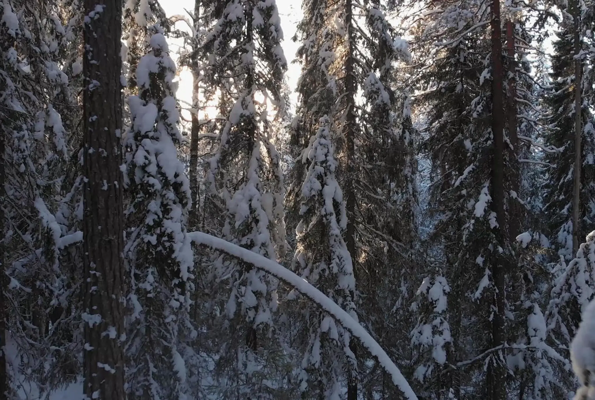 River Bend Golf & Recreation Area