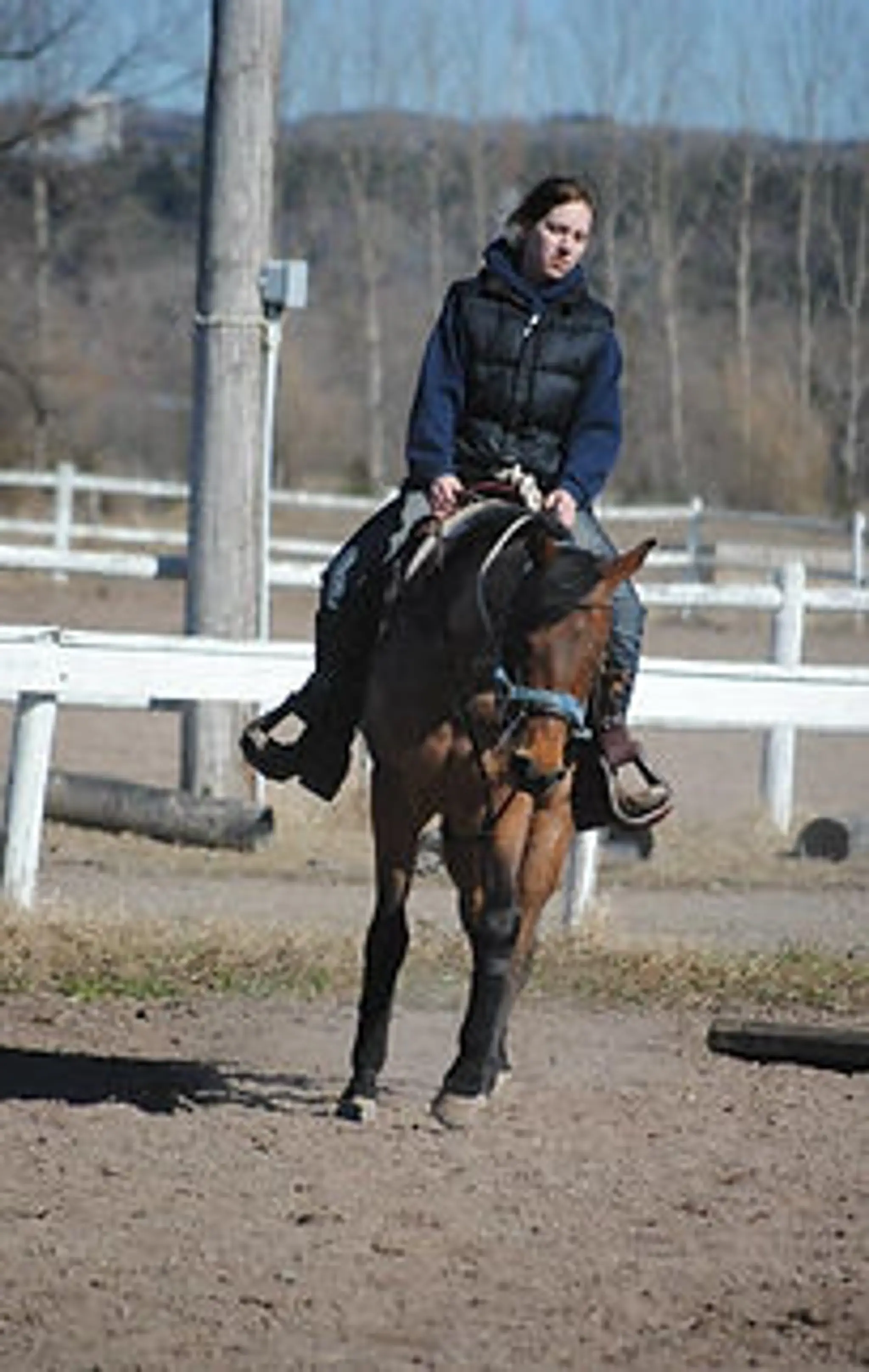 Area Equestrian Boisvert