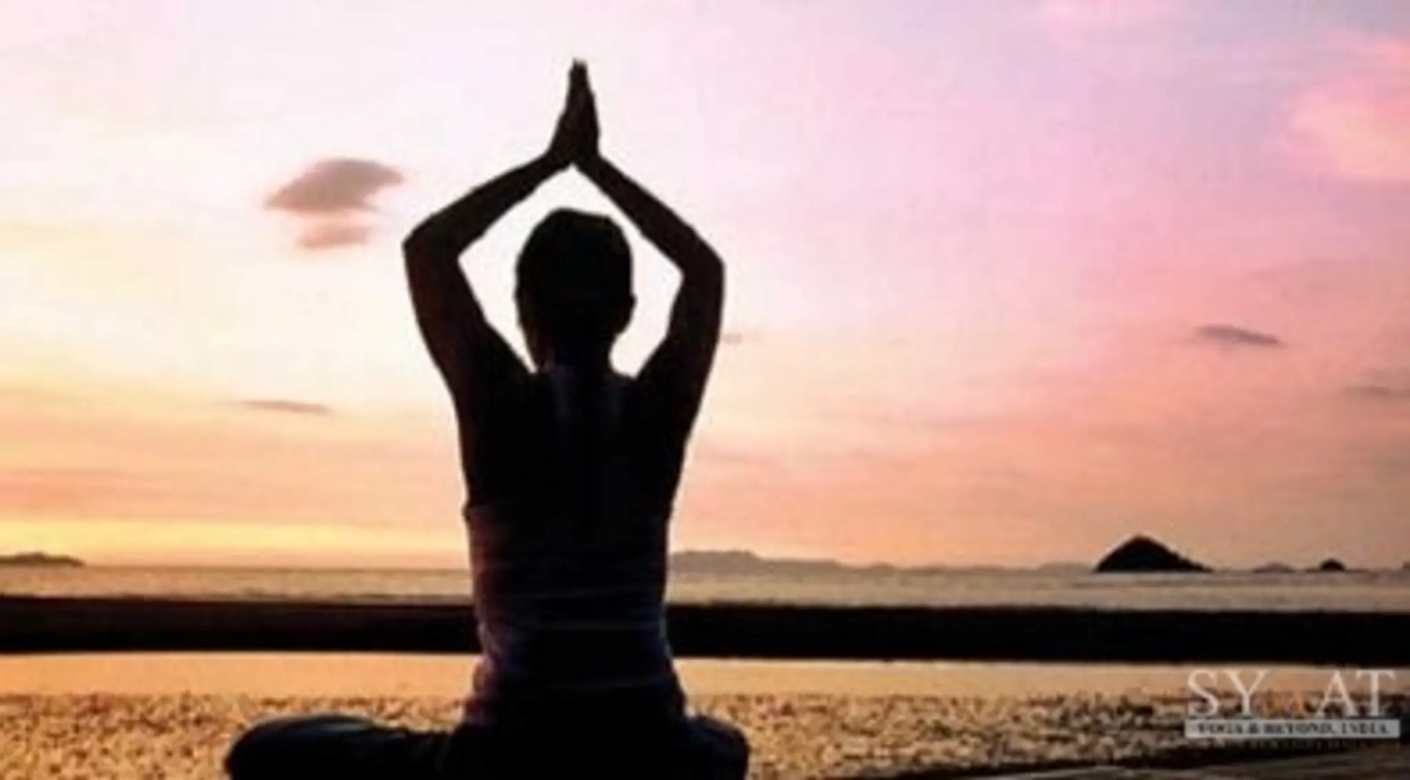 Delhi Yoga Sabha