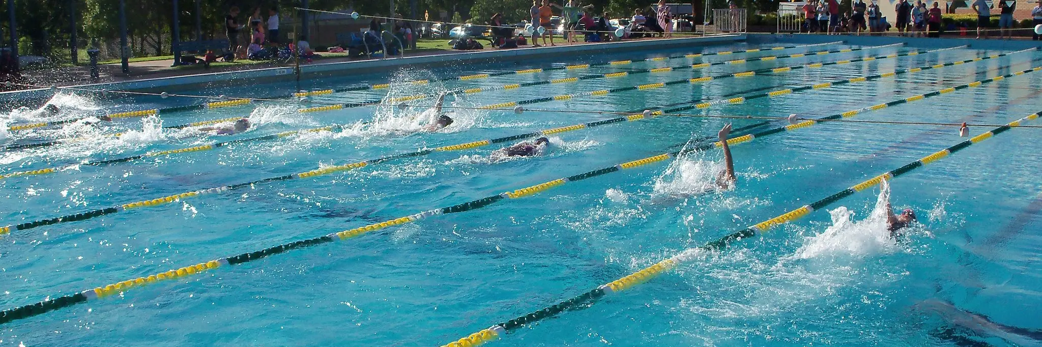 Ripples St Marys Swimming Club