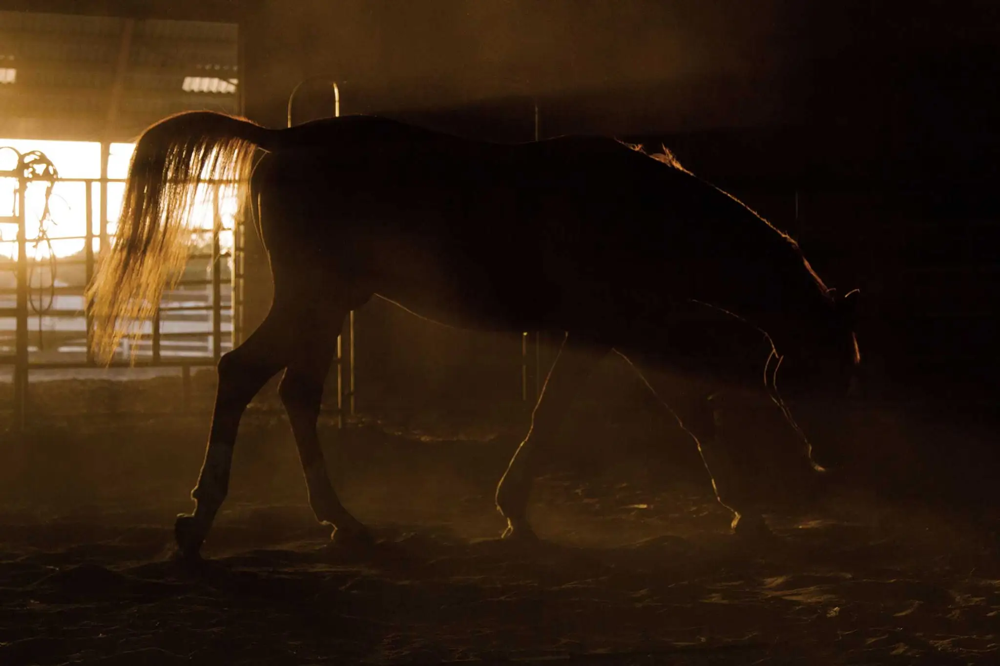 Franck Perret Ride For Emotion