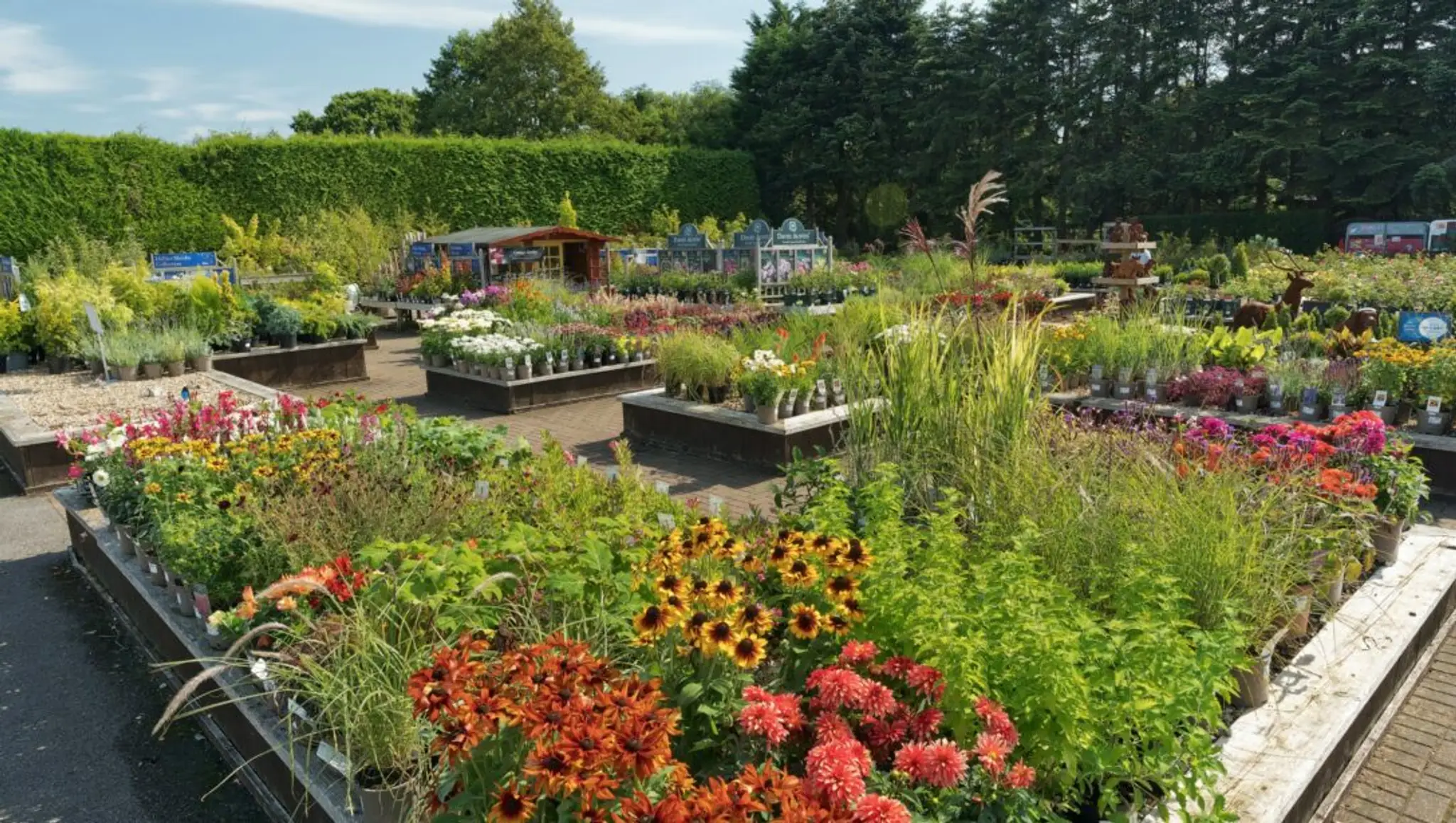 Hillier Garden Centre Horsham