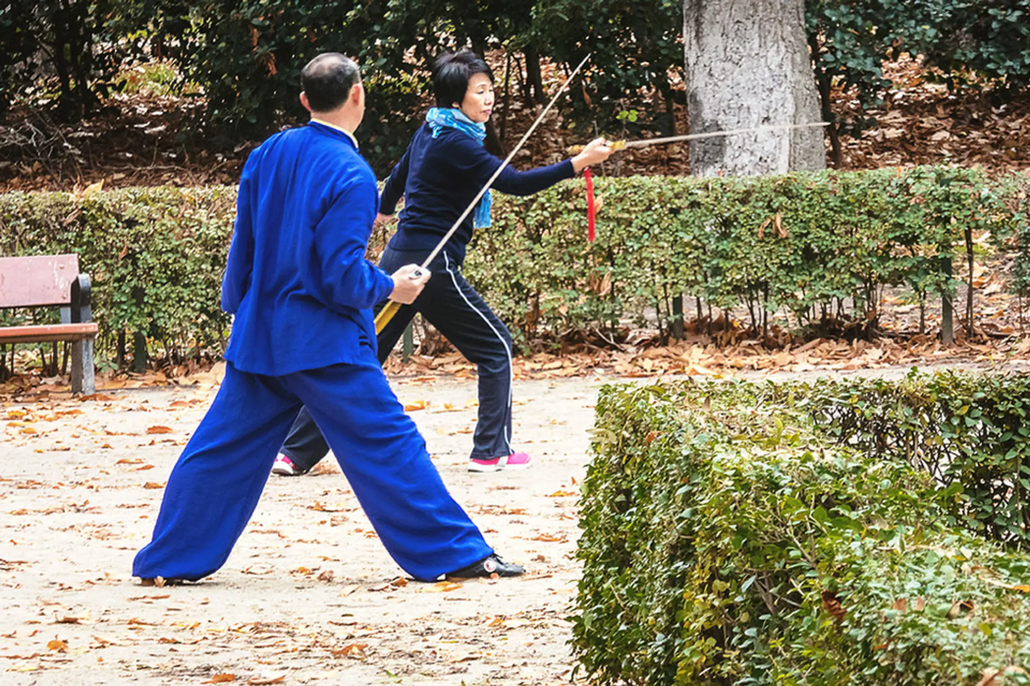 Undisputed Martial Arts Academy ( UMA )