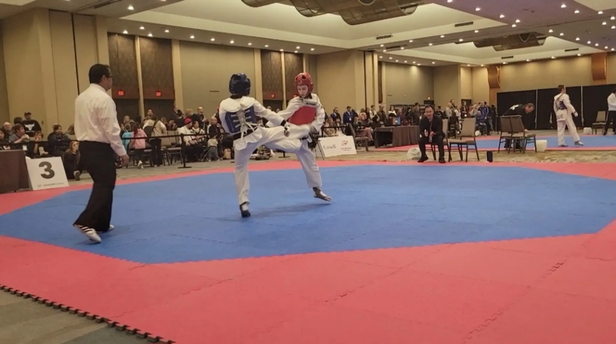 Cobra's Taekwondo Training Centre