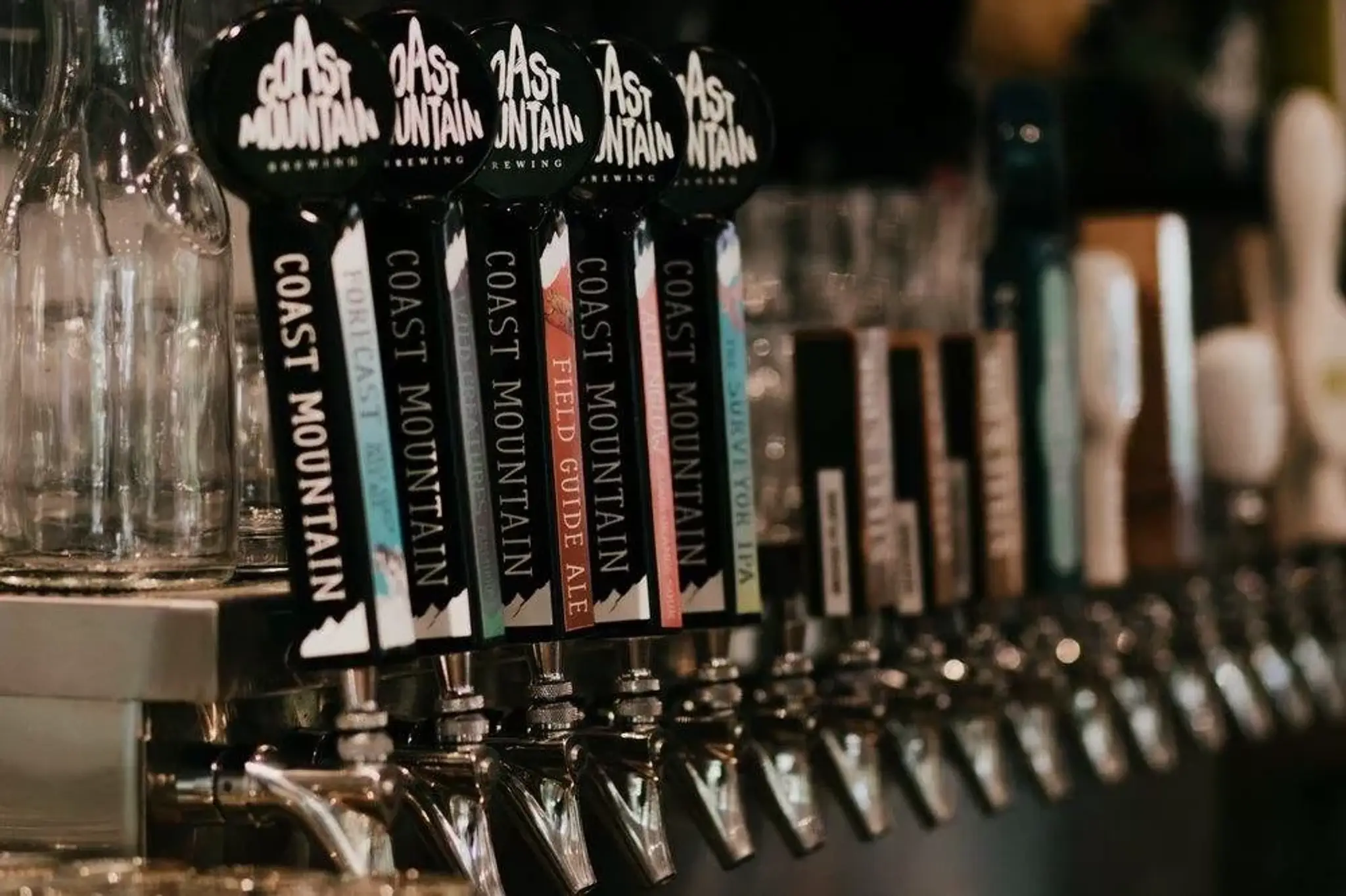 Mountain Skills Academy & Adventures