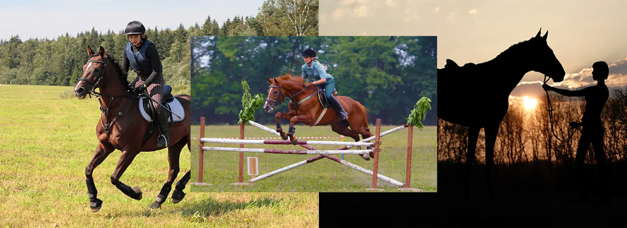 Silverstone Riding School