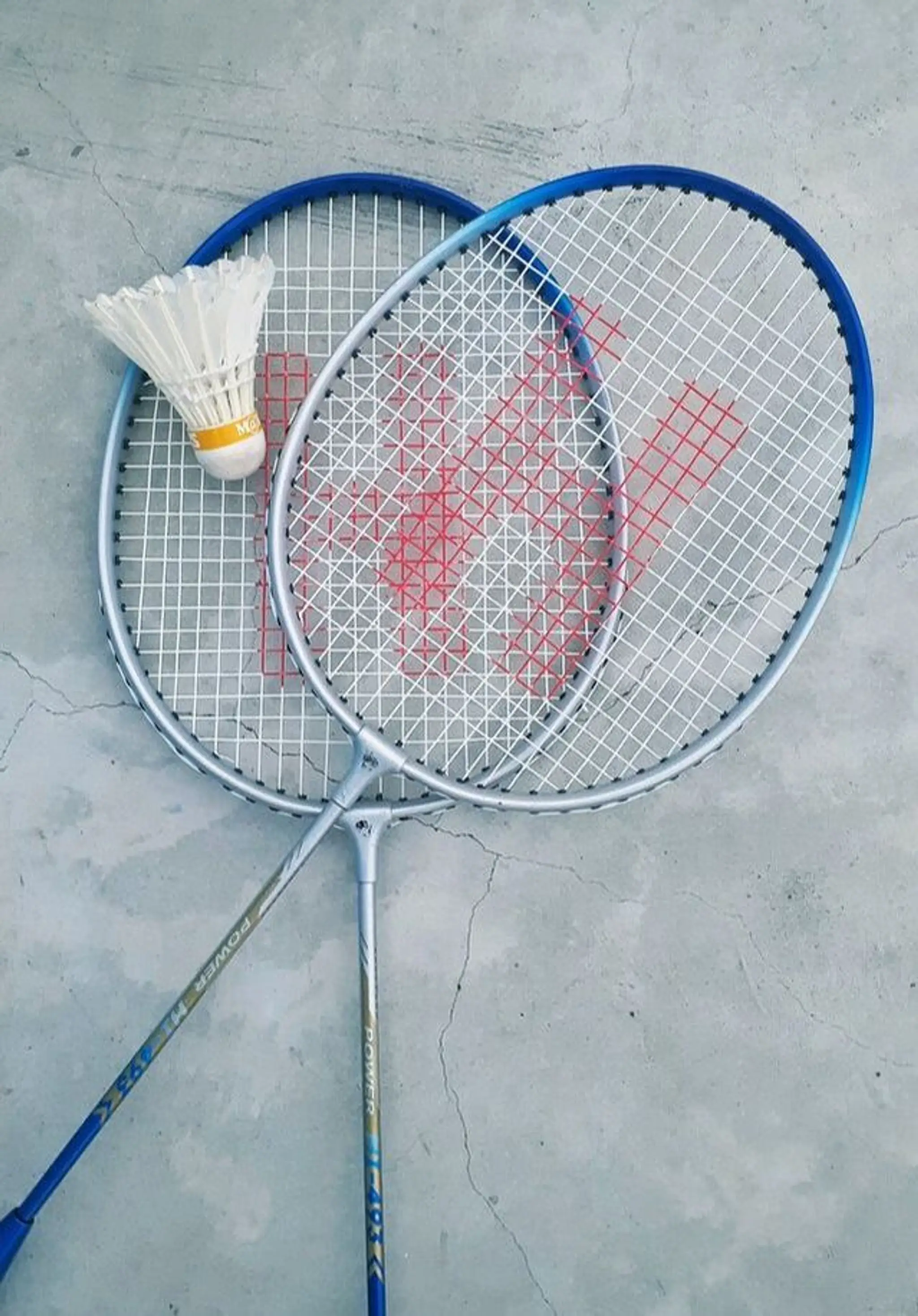 College Rifles Badminton Club