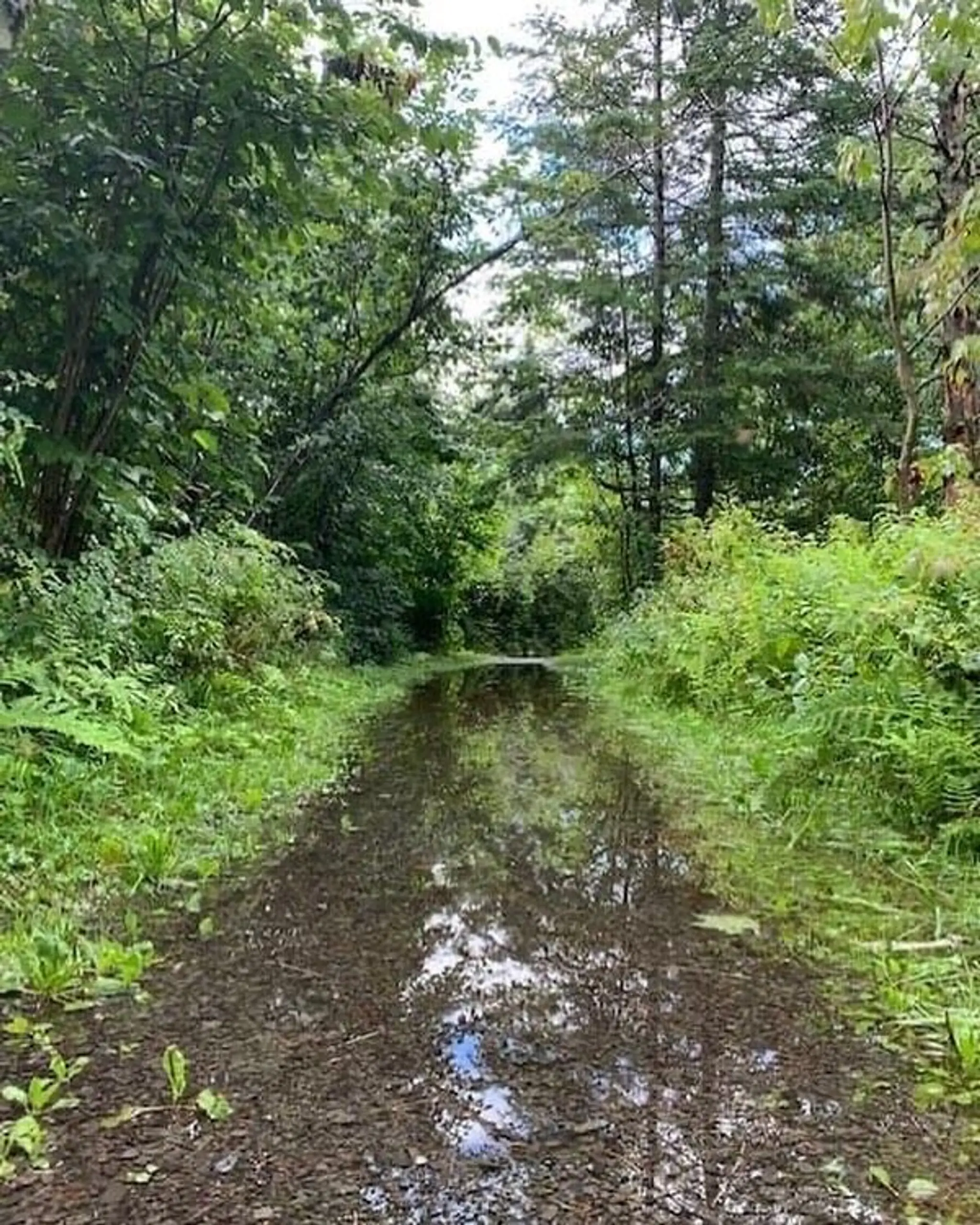 Marais du nord start