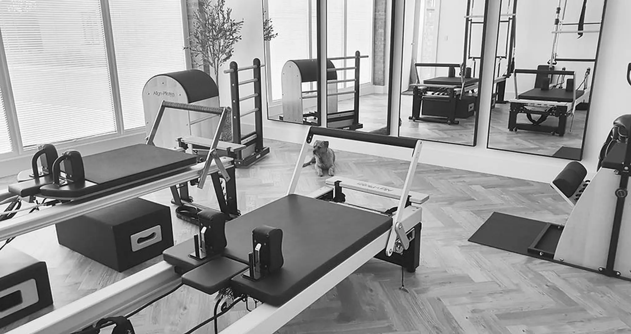 G E N E V I E V E P I L A T E S