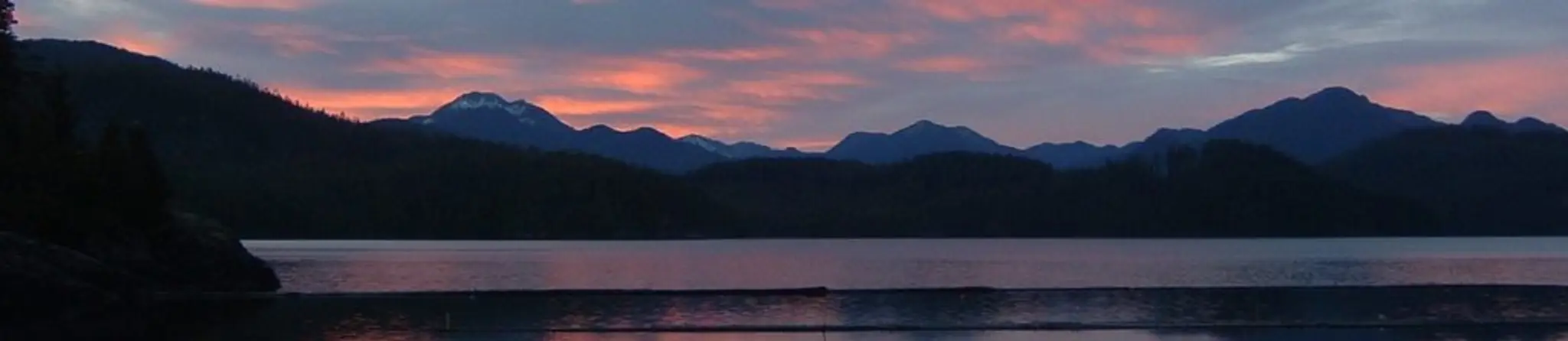 Critter Cove Marina