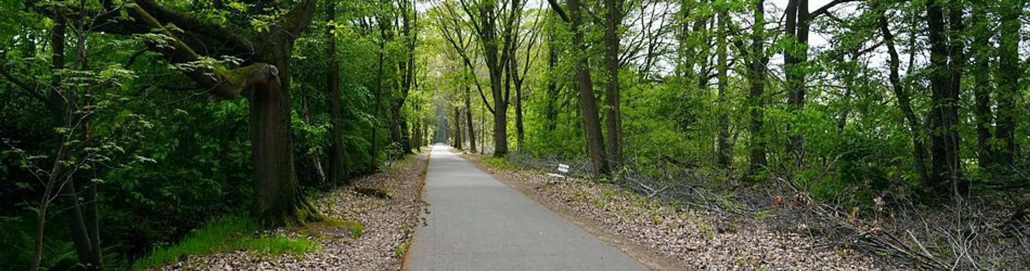 Dr Paul Lam - Tai Chi Productions