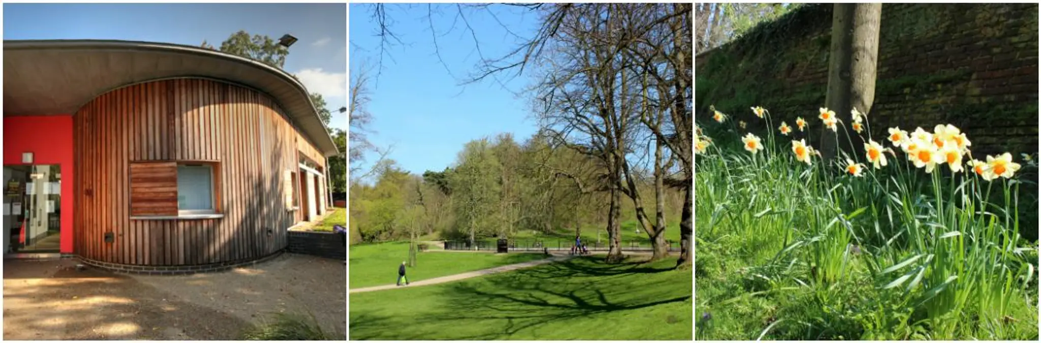 Outdoor Gym Equipment