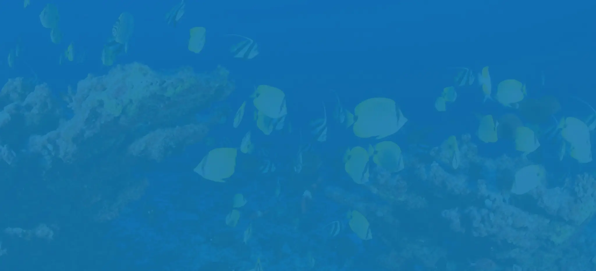 Site de plongée de la carrière de la Roche Bleue - Bécon-les-Granits