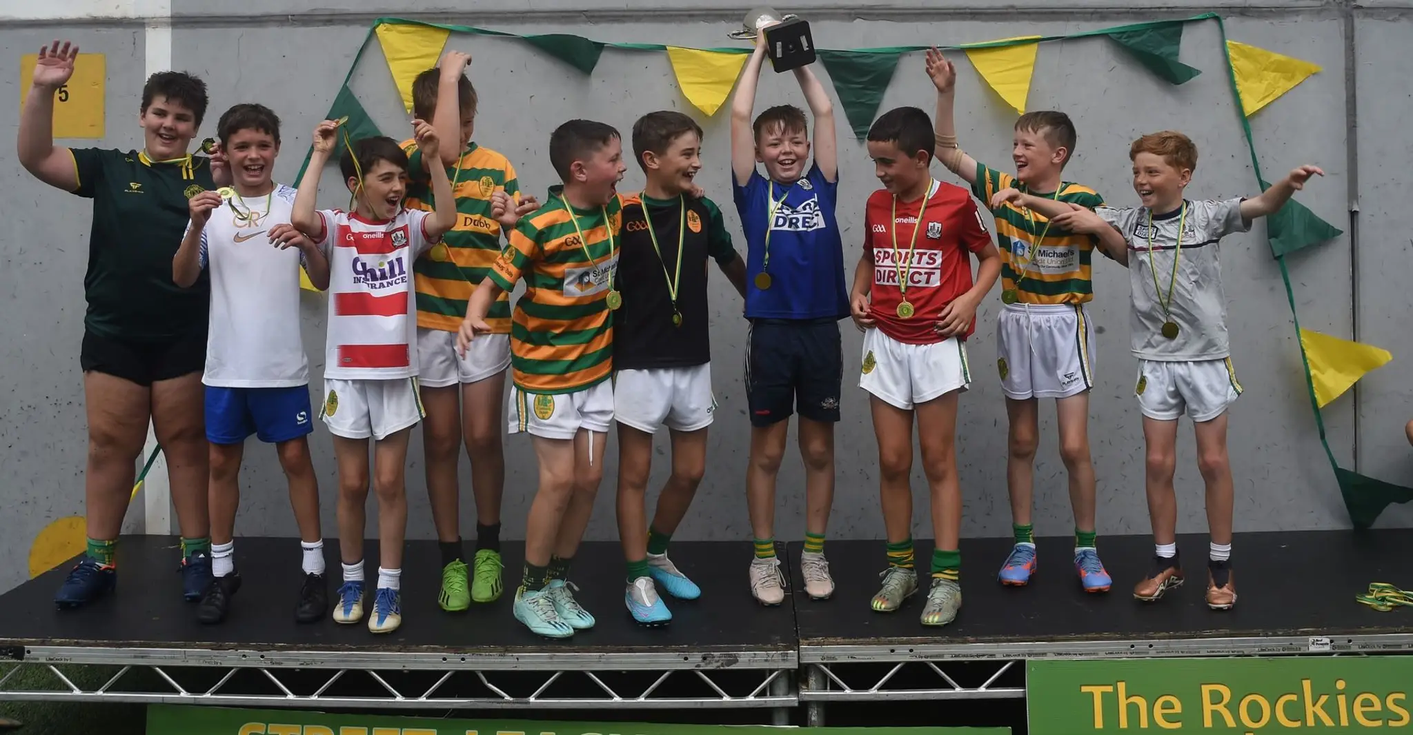 Blackrock National Hurling Club