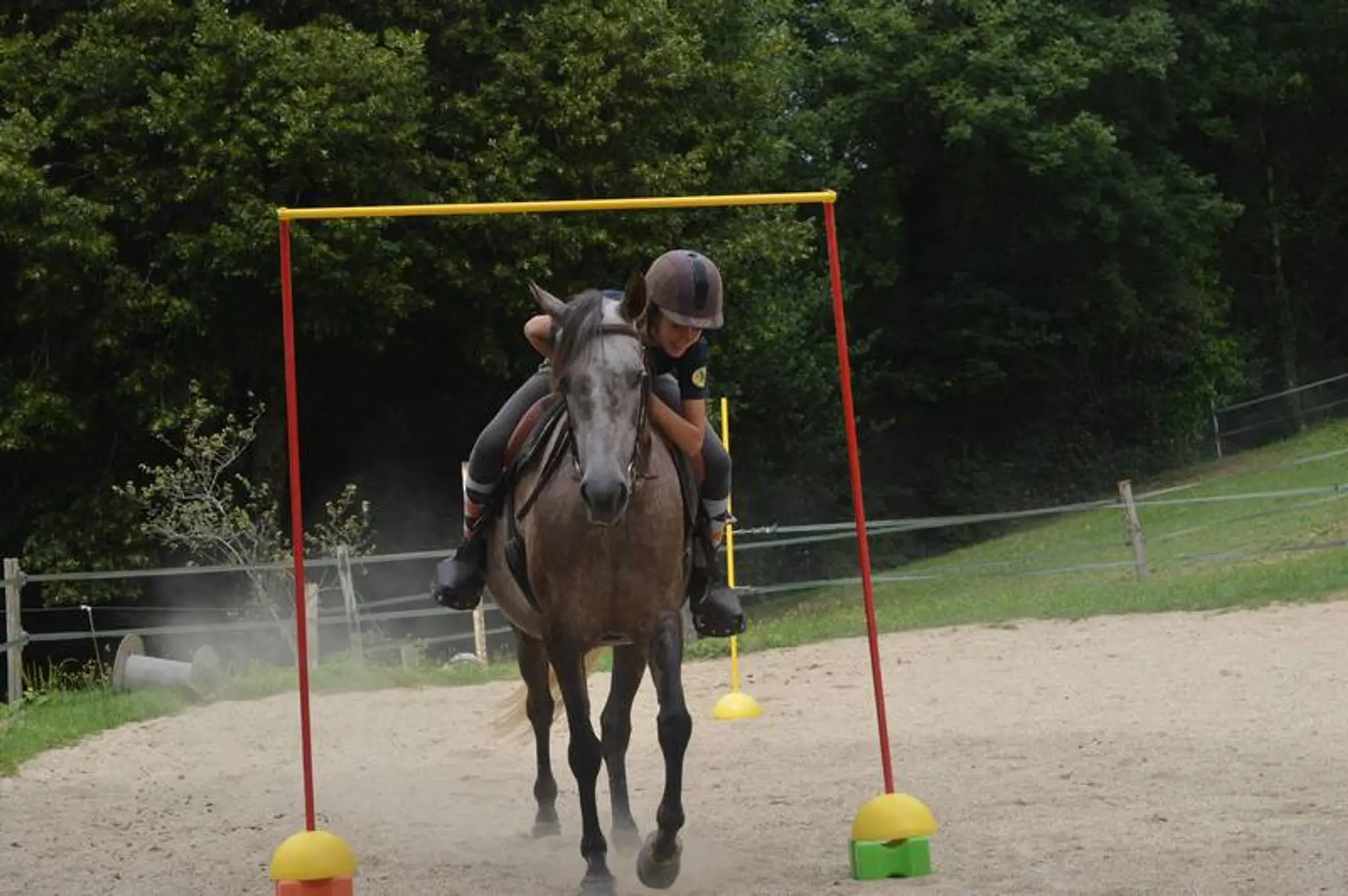 Les Ecuries De La Sabatarié Farm Equestre Cottages