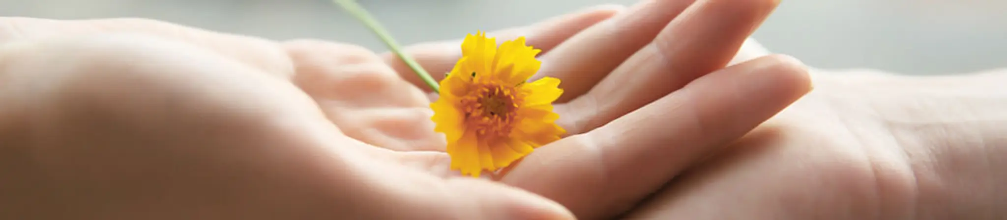 Christine Bourget - Massothrapie & Yoga Pour Les Jeunes